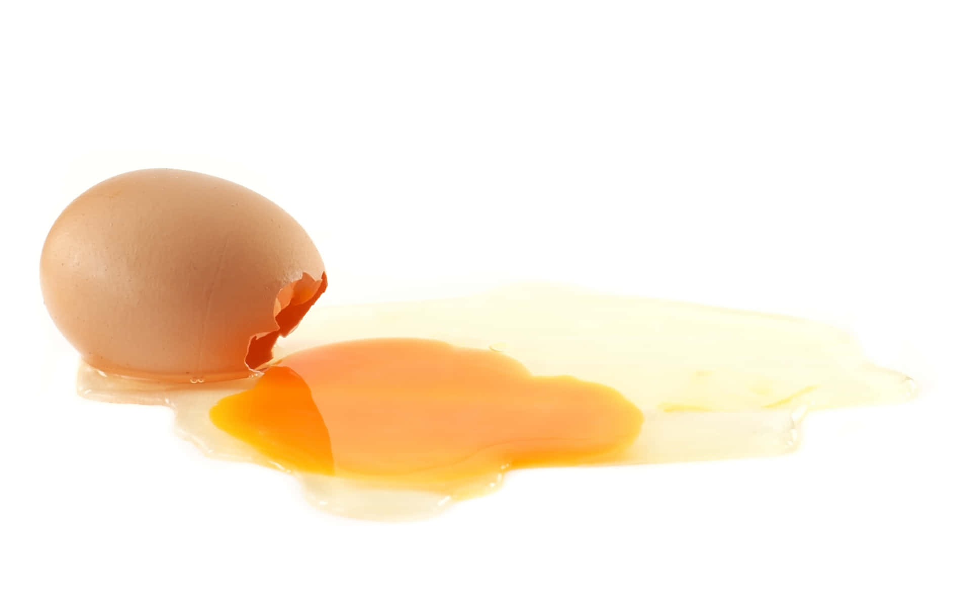 Egg 桌布 壁紙 — 一個破裂的棕色雞蛋在純白背景上灑出鮮豔的橙色蛋黃和清澈的蛋白。