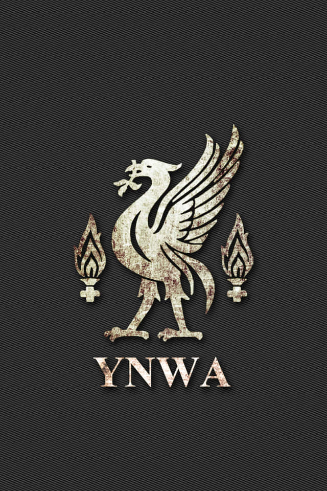 鳥 桌布 壁紙 — 一個磨損的Liverbird標誌，帶有兩個火炬和'YNWA'文字，在紋理黑色背景上。