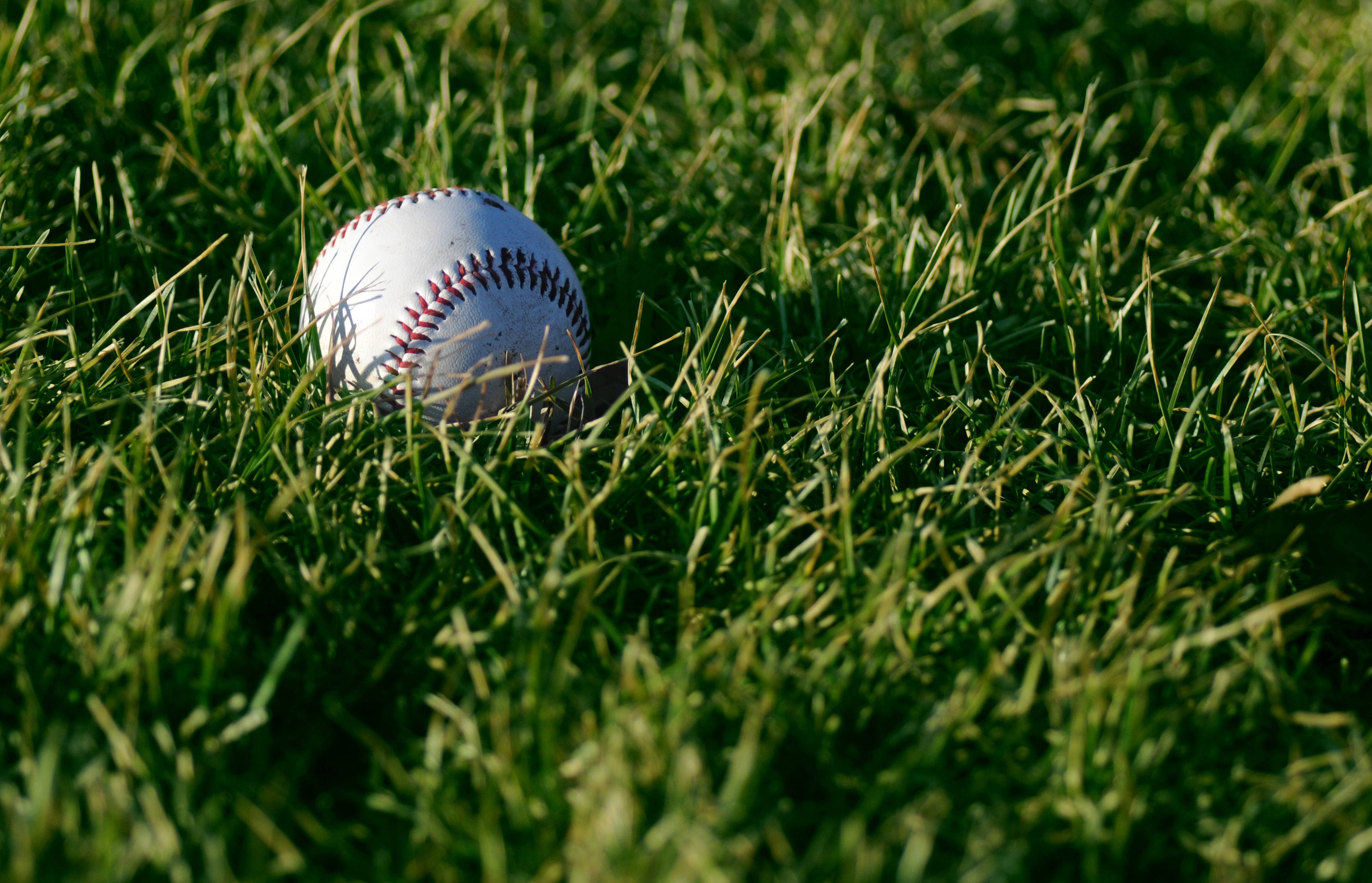MLB 桌布 壁紙 — 一個磨損的棒球躺在鮮綠的草地上，沐浴在明亮的陽光下。