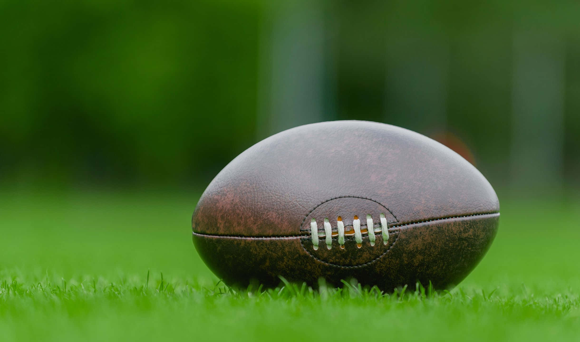 2440x1440 Football 桌布 壁紙 — 一個磨損的棕色皮革足球放在充滿活力的綠色草地上，背景是模糊的森林。