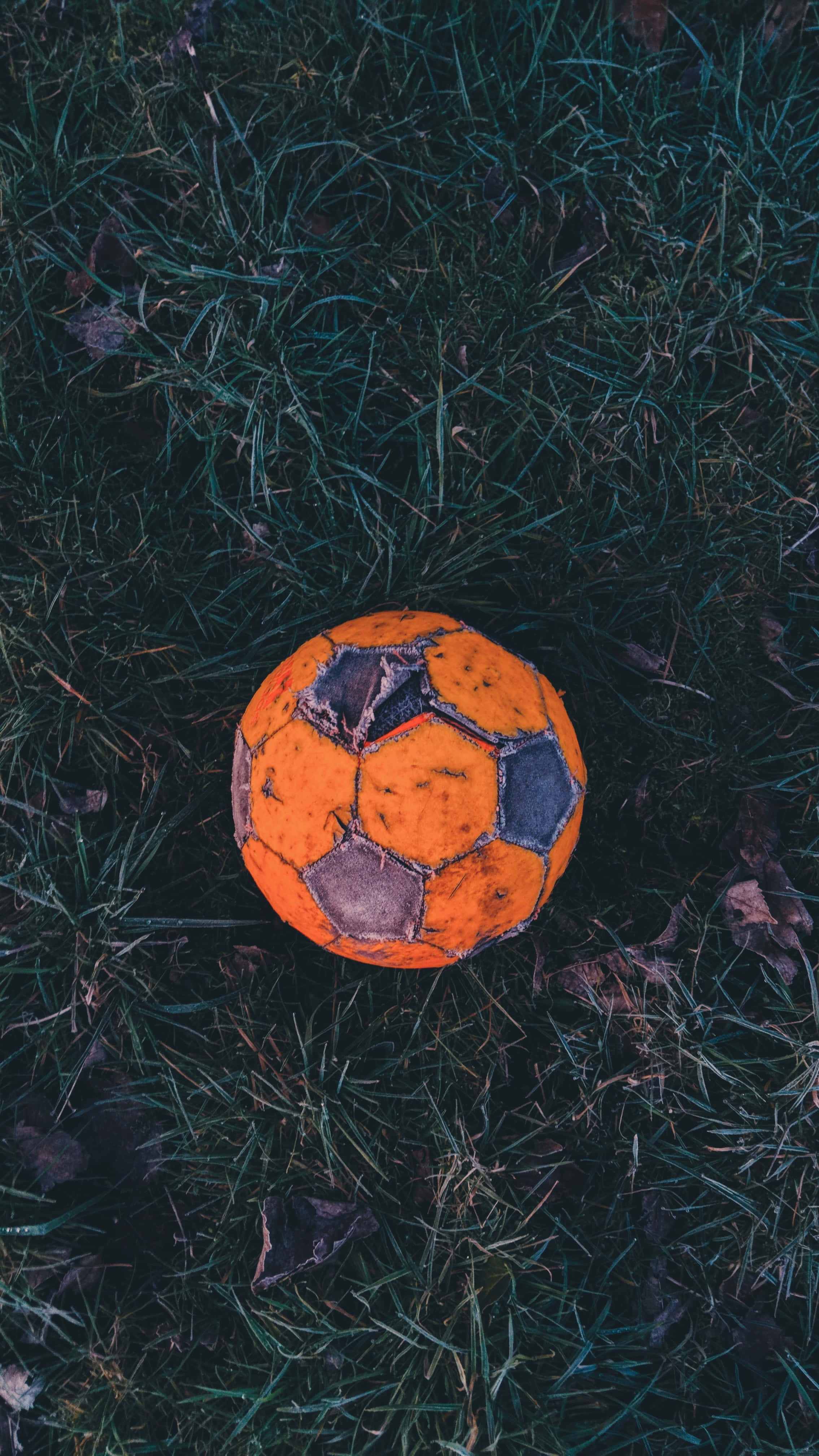 Soccer Ball 桌布 壁紙 — 一個磨損的橙色足球放在深綠色草地上，散落著落葉。