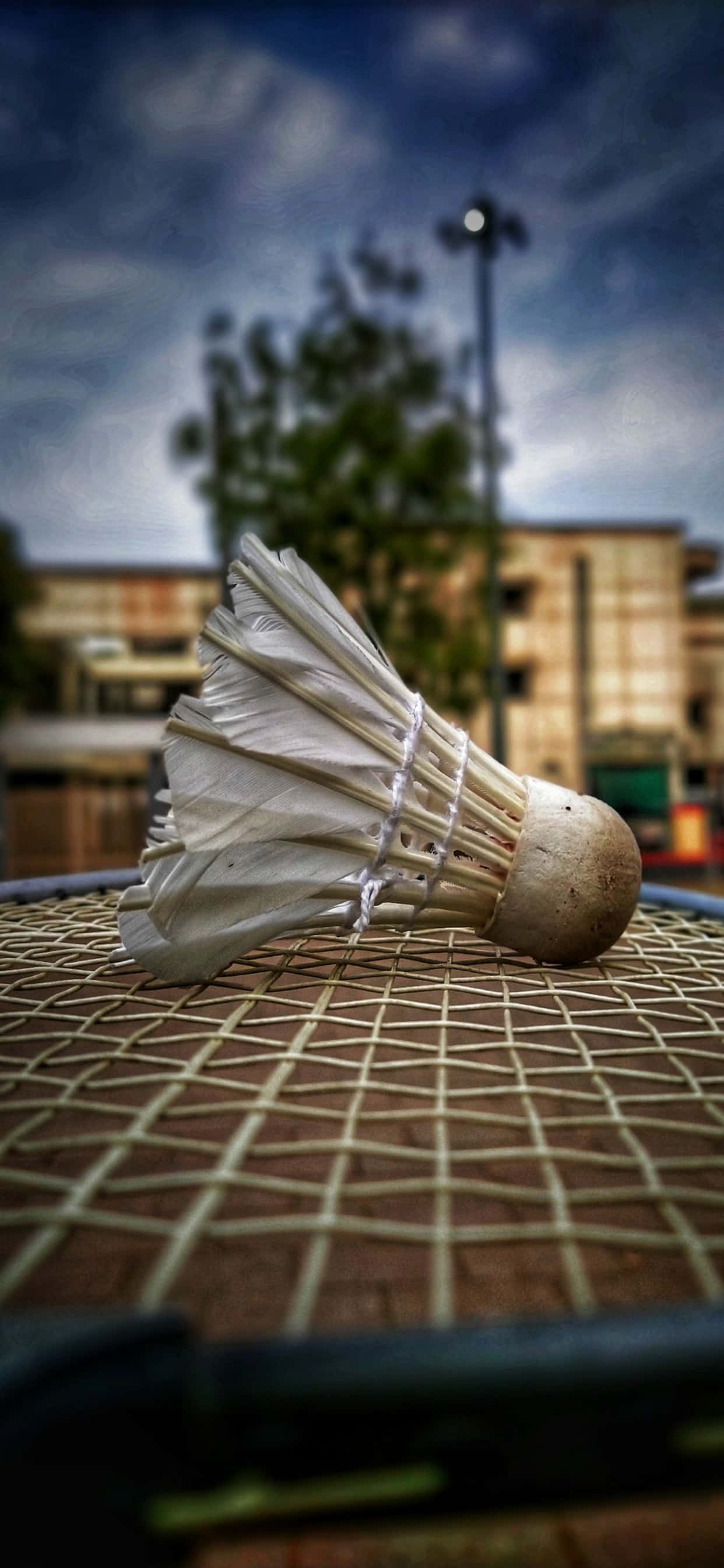 iPhone Xs Max Badminton 桌布 壁紙 — 一個磨損的羽毛球放在羽毛球拍的網線上，背景是模糊的城市景觀，天空充滿戲劇性。