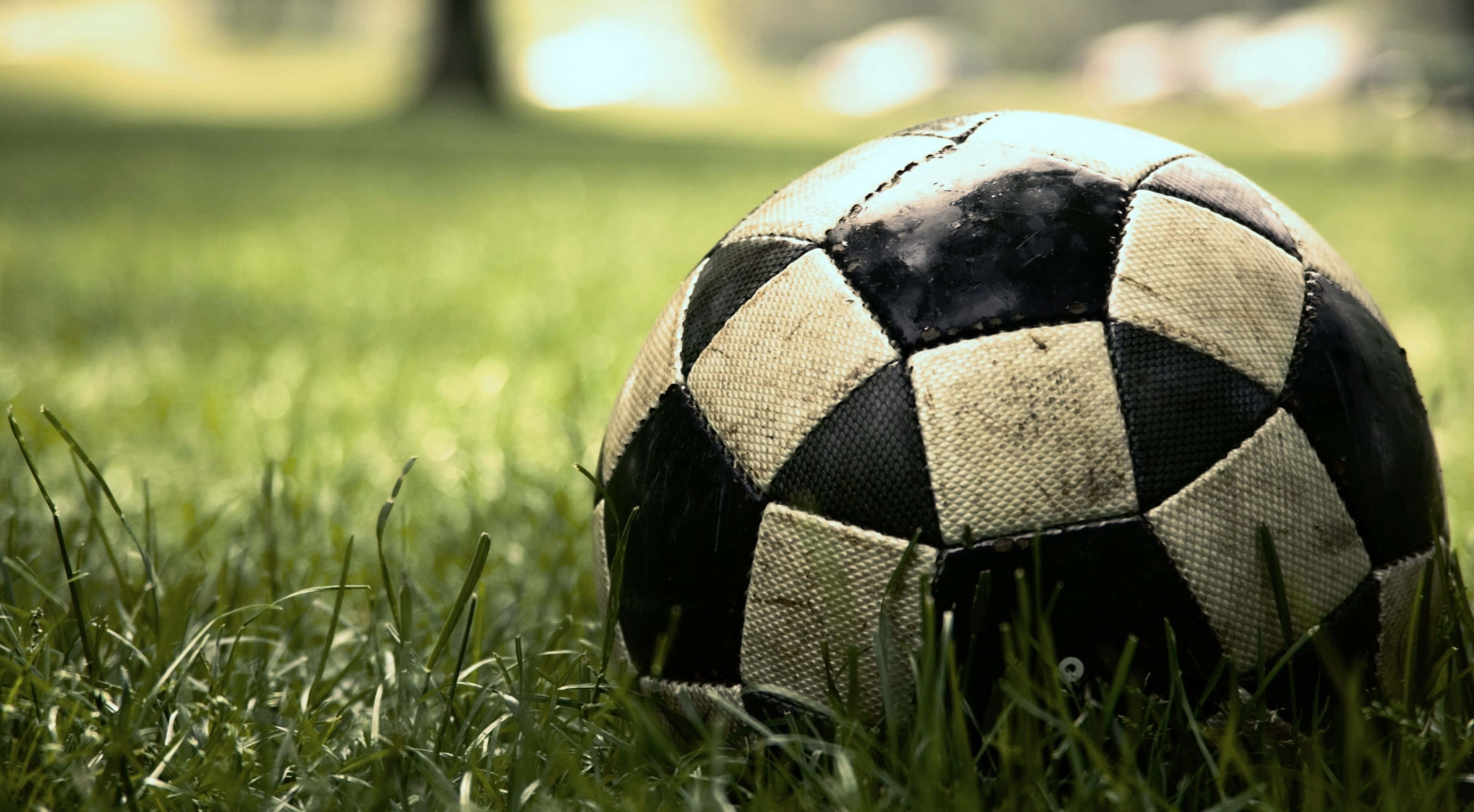 Soccer 4K 桌布 壁紙 — 一個磨損的黑白足球在明亮的陽光下躺在充滿活力的綠色草地上。