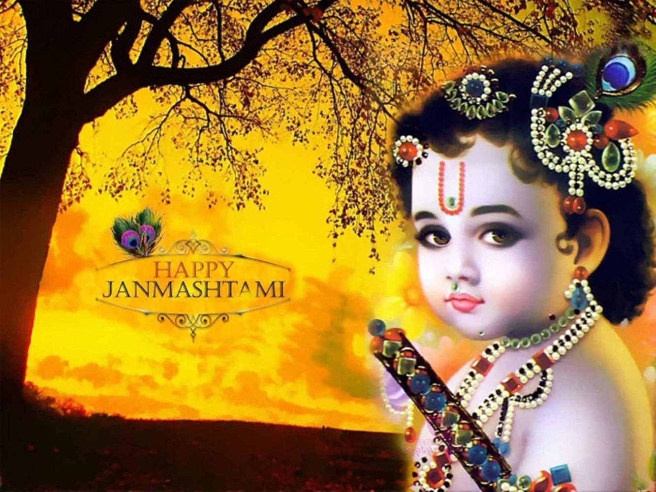 Indian 桌布 壁紙 — 一個神聖的孩子，裝飾著珠寶和孔雀羽毛，在金色日落背景和樹木剪影下溫柔地凝視。
