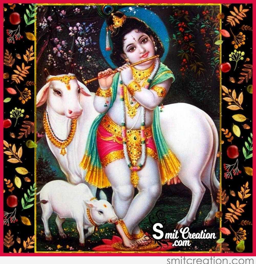 krishna god 桌布 壁紙 — 一個神聖的孩子戴著金色珠寶，坐在一頭白牛上，旁邊有一頭小牛，在花卉框架的場景中吹奏長笛。