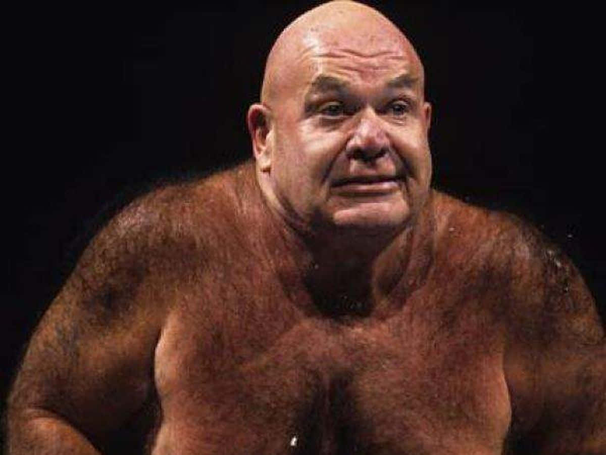WWE 桌布 壁紙 — 一個禿頭肌肉男，身上有濃密的體毛，在黑暗背景下凝視著。