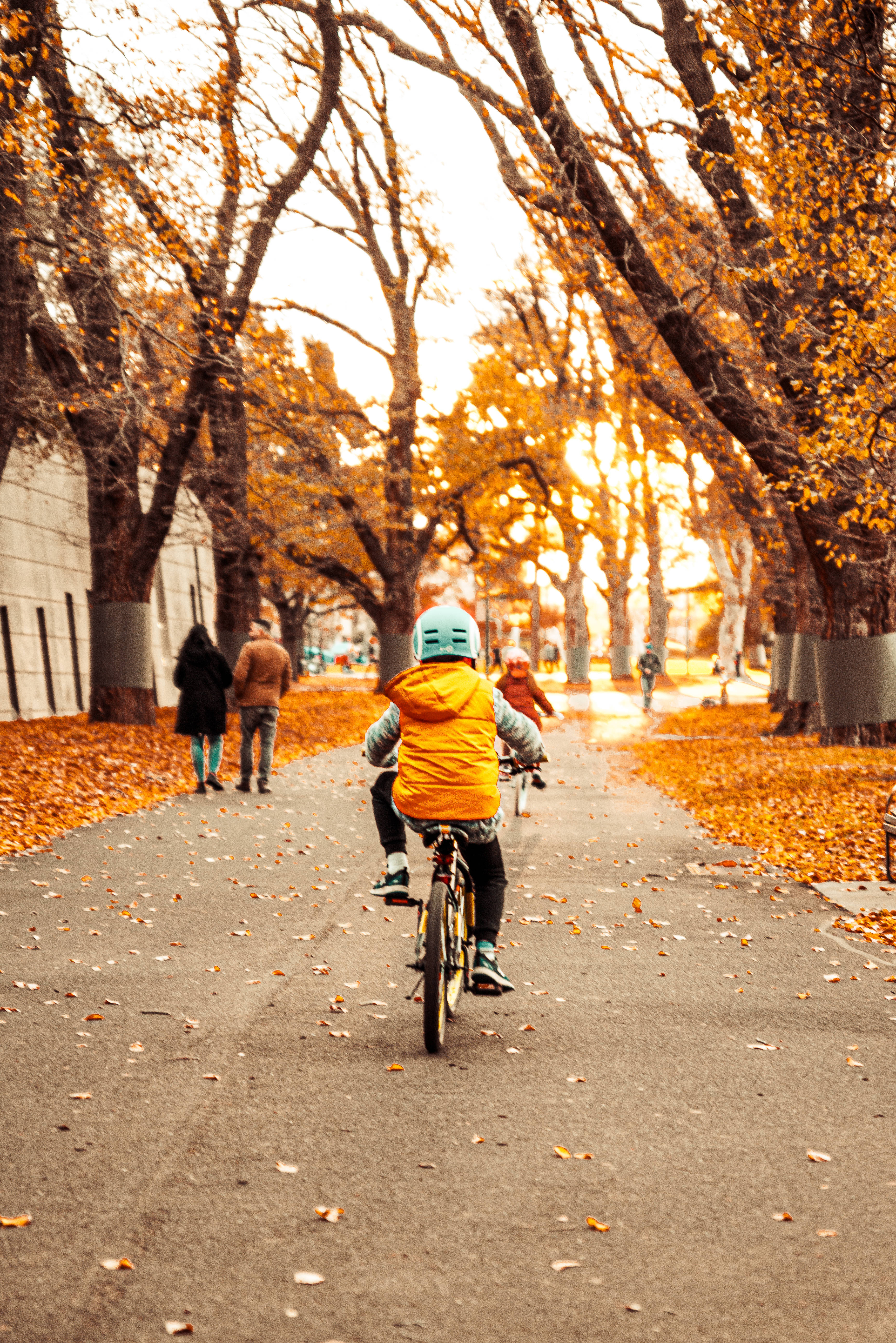 bike riding 桌布 壁紙 — 一個穿著亮橙色背心和頭盔的小孩在日落時分沿著一條鋪滿金色秋葉的林蔭小道騎自行車。
