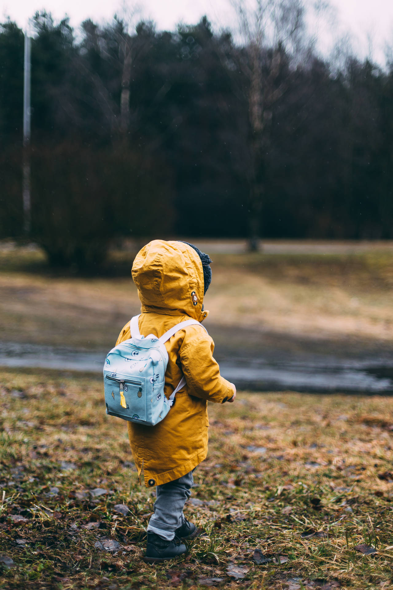 Baby Boy 桌布 壁紙 — 一個穿著亮黃色雨衣和淺藍色背包的小孩獨自走過一片潮濕的草地，背景是光禿禿的樹木。