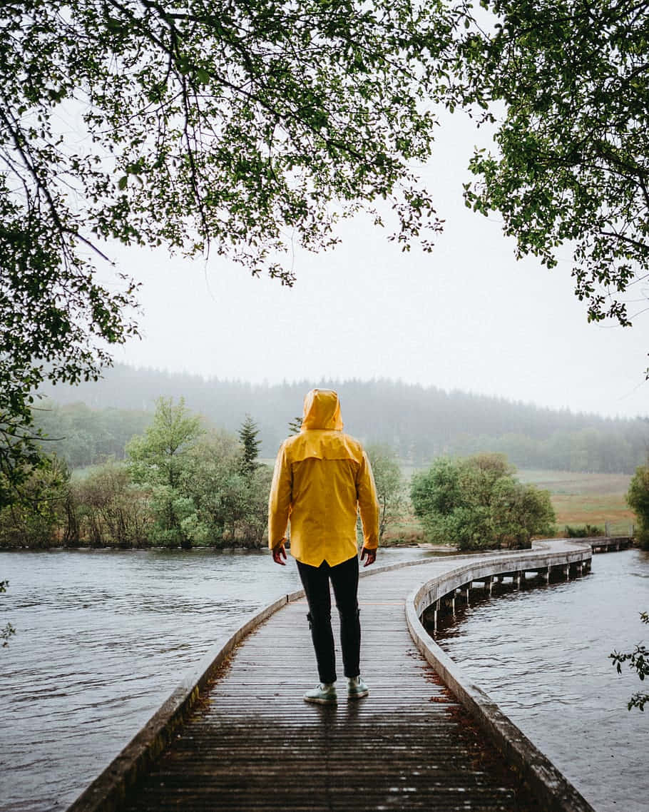 Yellow Raincoat 桌布 壁紙 — 一個穿著亮黃色雨衣的人，在霧氣瀰漫的日子裡，獨自走在懸垂樹木下的水上木橋上。
