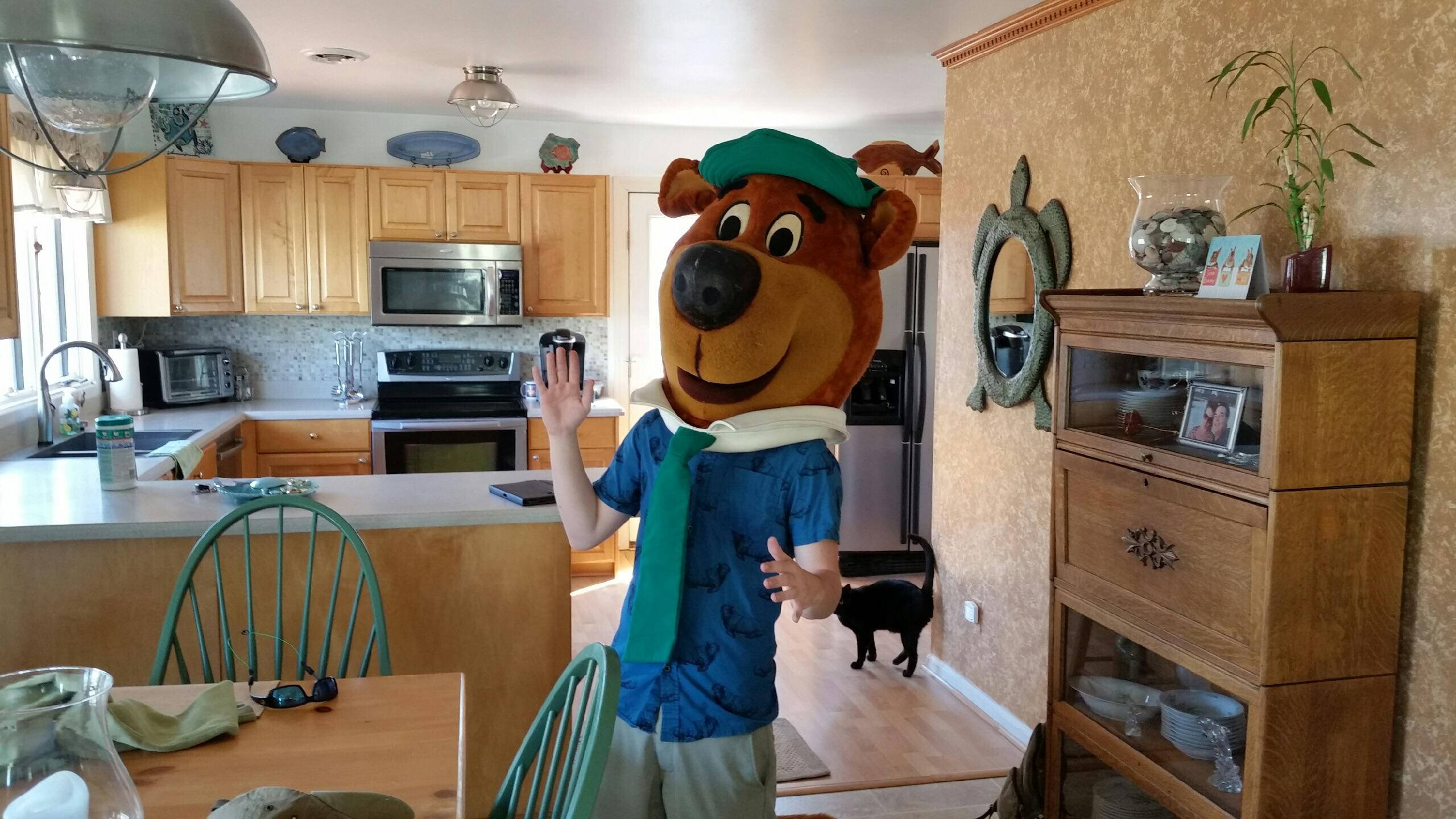 Yogi 桌布 壁紙 — 一個穿著史酷比服裝的人在一個舒適的廚房裡愉快地揮手，廚房裡有木製櫥櫃，背景中有一隻黑狗。