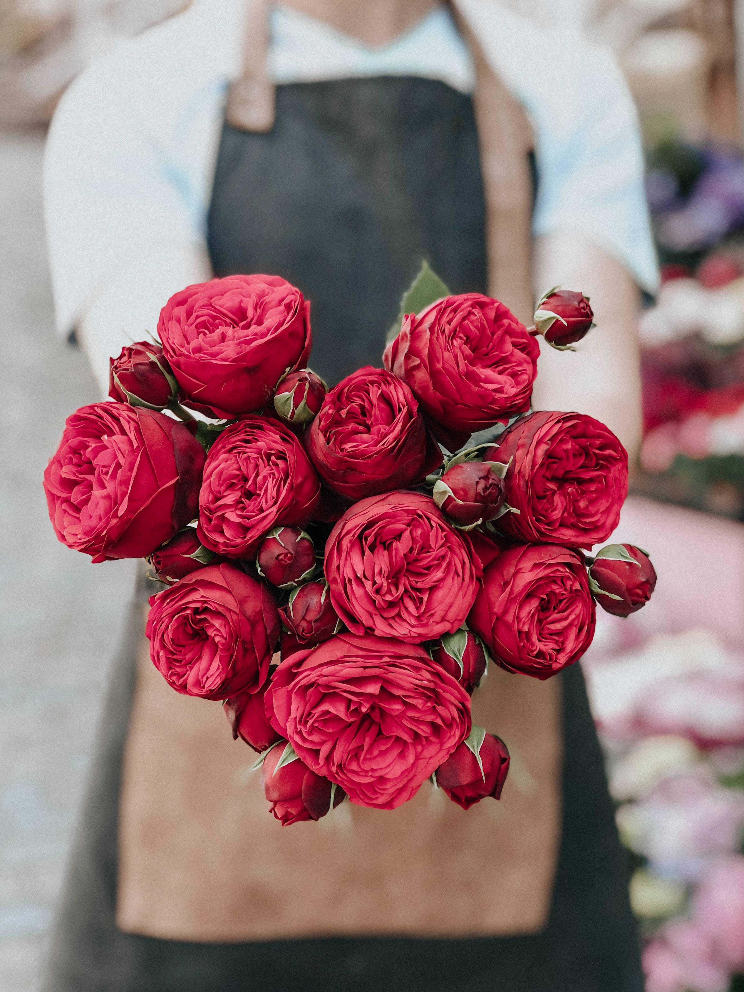 Bouquet 桌布 壁紙 — 一個穿著圍裙的人，在柔和模糊的花卉背景前，拿著一束茂盛的深紅玫瑰，帶有綠色莖和花蕾。