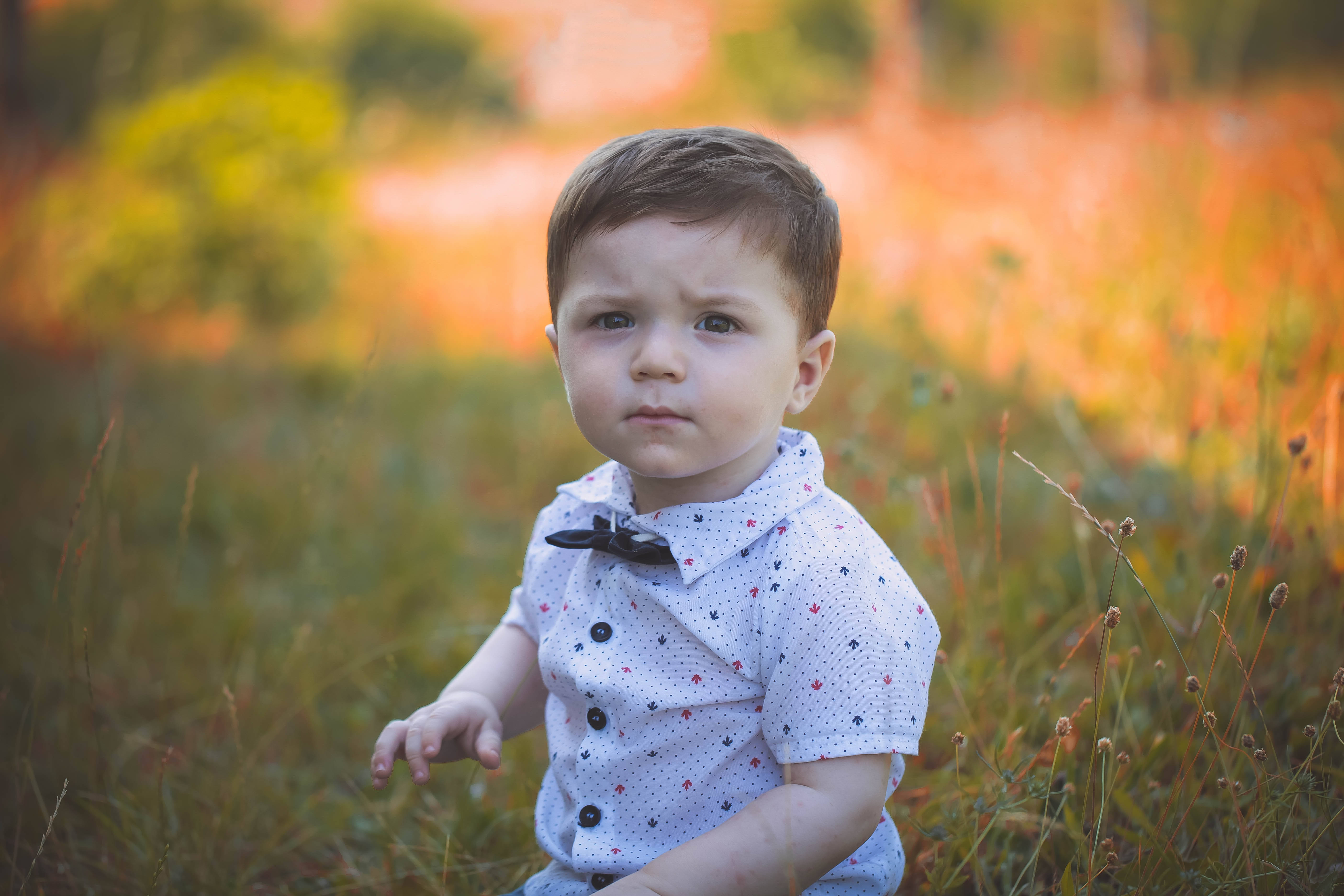 Baby Boy 桌布 壁紙 — 一個穿著圓點襯衫和領結的幼兒坐在高高的草地上，沐浴在溫暖的金色陽光下。