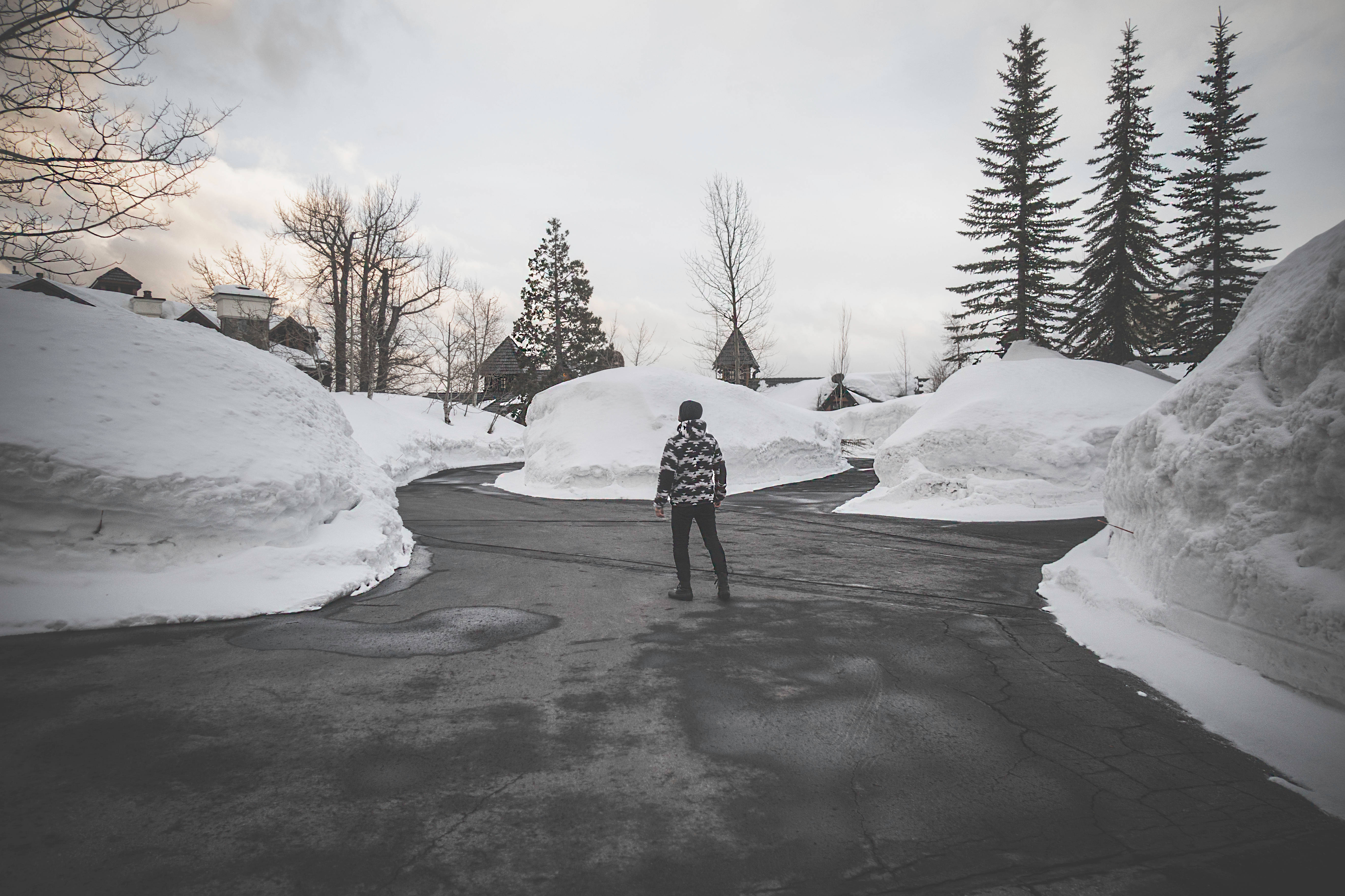wide 桌布 壁紙 — 一個穿著圖案外套的人沿著一條積雪的道路走過一個安靜的冬季社區，周圍有常青樹。