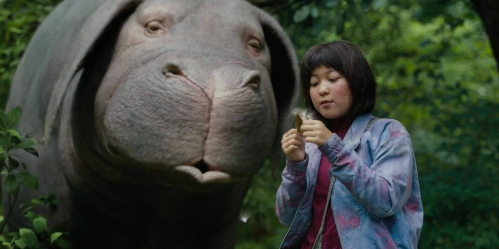 okja 桌布 壁紙 — 一個穿著圖案外套的小女孩在茂密的綠色森林中向一隻巨大、溫和的河馬提供食物。