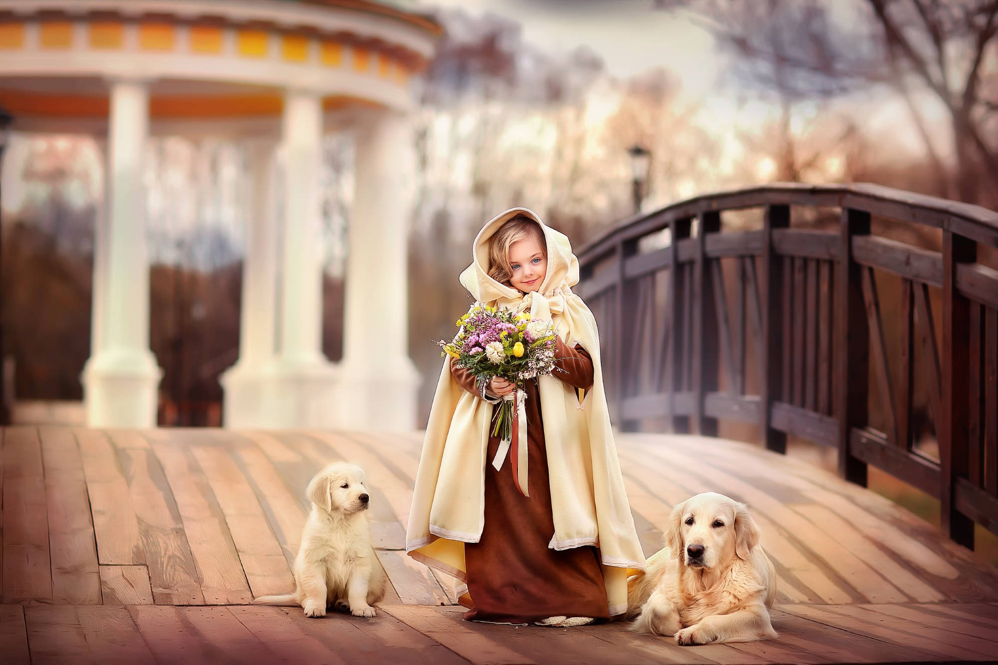 Dog And Girl 桌布 壁紙 — 一個穿著奶油色斗篷的小女孩拿著色彩繽紛的花束，站在木橋上，旁邊有兩隻黃金獵犬。