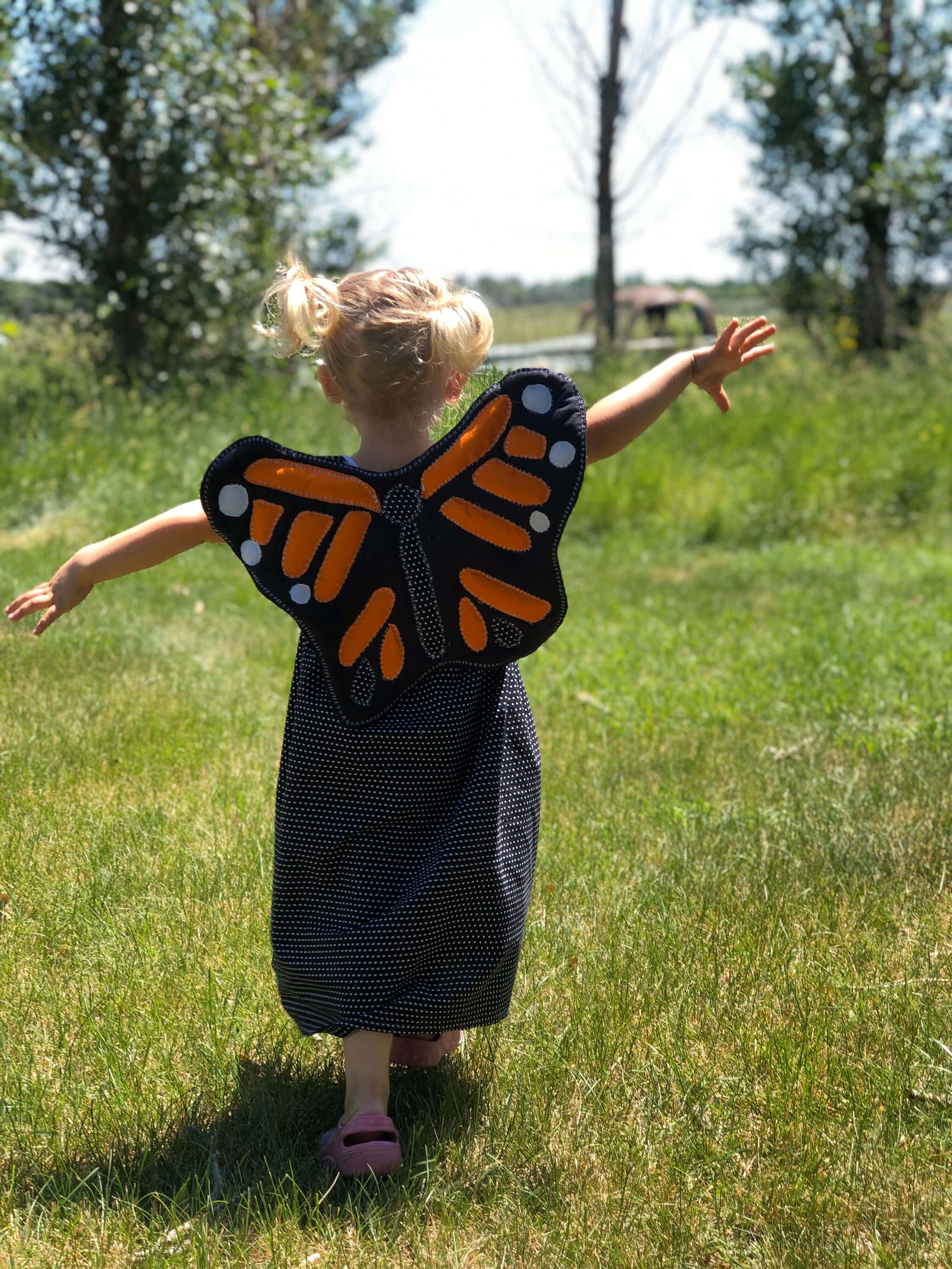Butterfly Wing Dress 桌布 壁紙 — 一個穿著帝王斑蝶服裝的小孩，在陽光明媚的草地上張開雙臂快樂地奔跑。