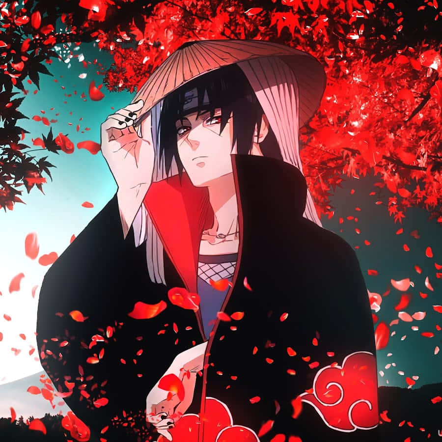 Akatsuki Hat 桌布 壁紙 — 一個穿著帶有紅雲的黑色斗篷的動漫角色，站在一棵紅葉飄落的樹下，背景是青綠色的天空。