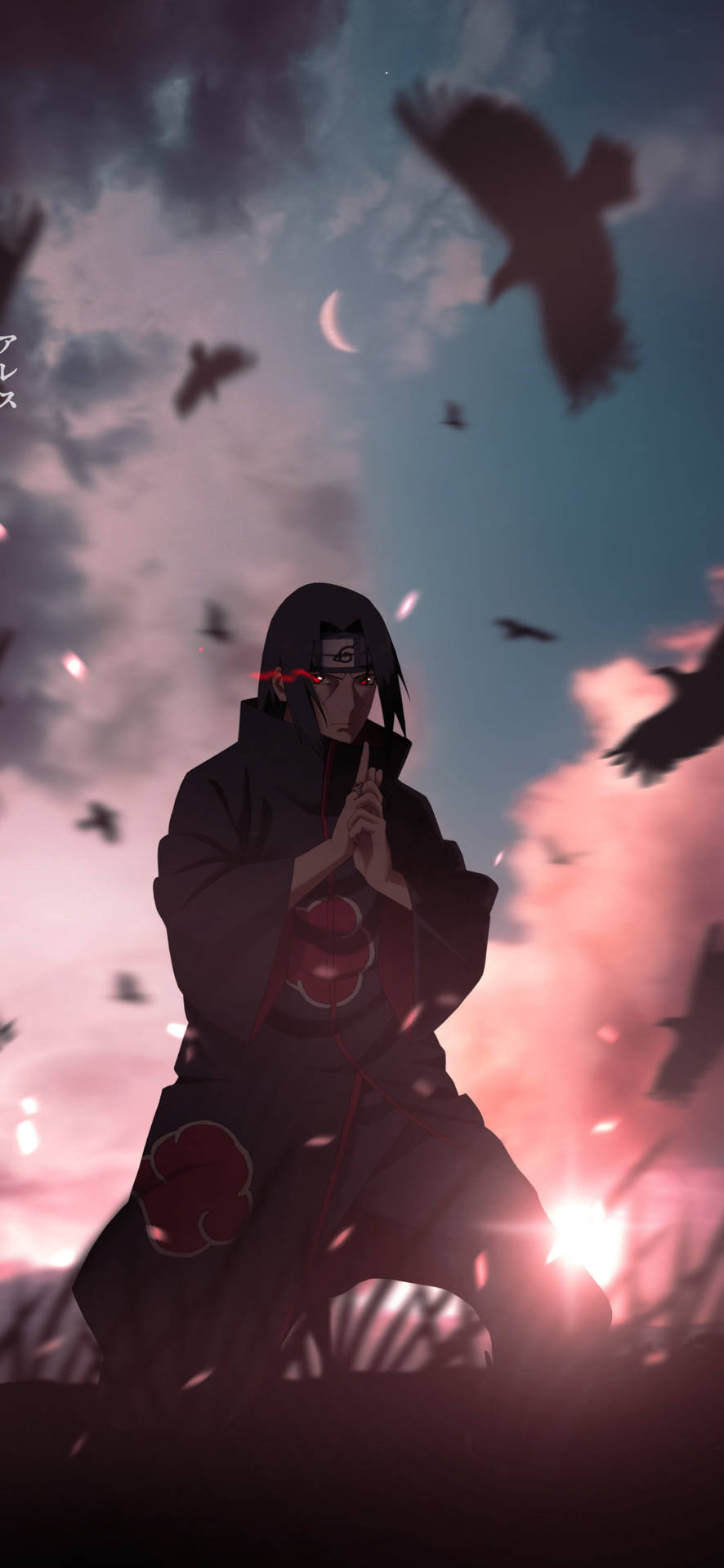 動漫忍者穿著帶有紅雲的黑色斗篷，在暮色天空下跪著，有飛鳥。 — 火影忍者疾風傳 壁紙
