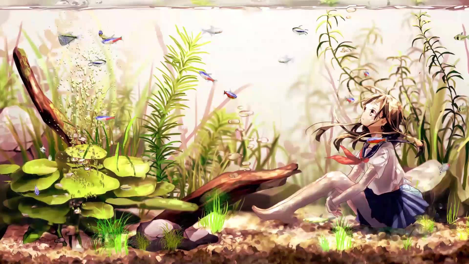Aquarium 桌布 壁紙 — 一個穿著校服的女孩在陽光照射的水族館中，平靜地坐在水生植物和色彩繽紛的魚群之間。