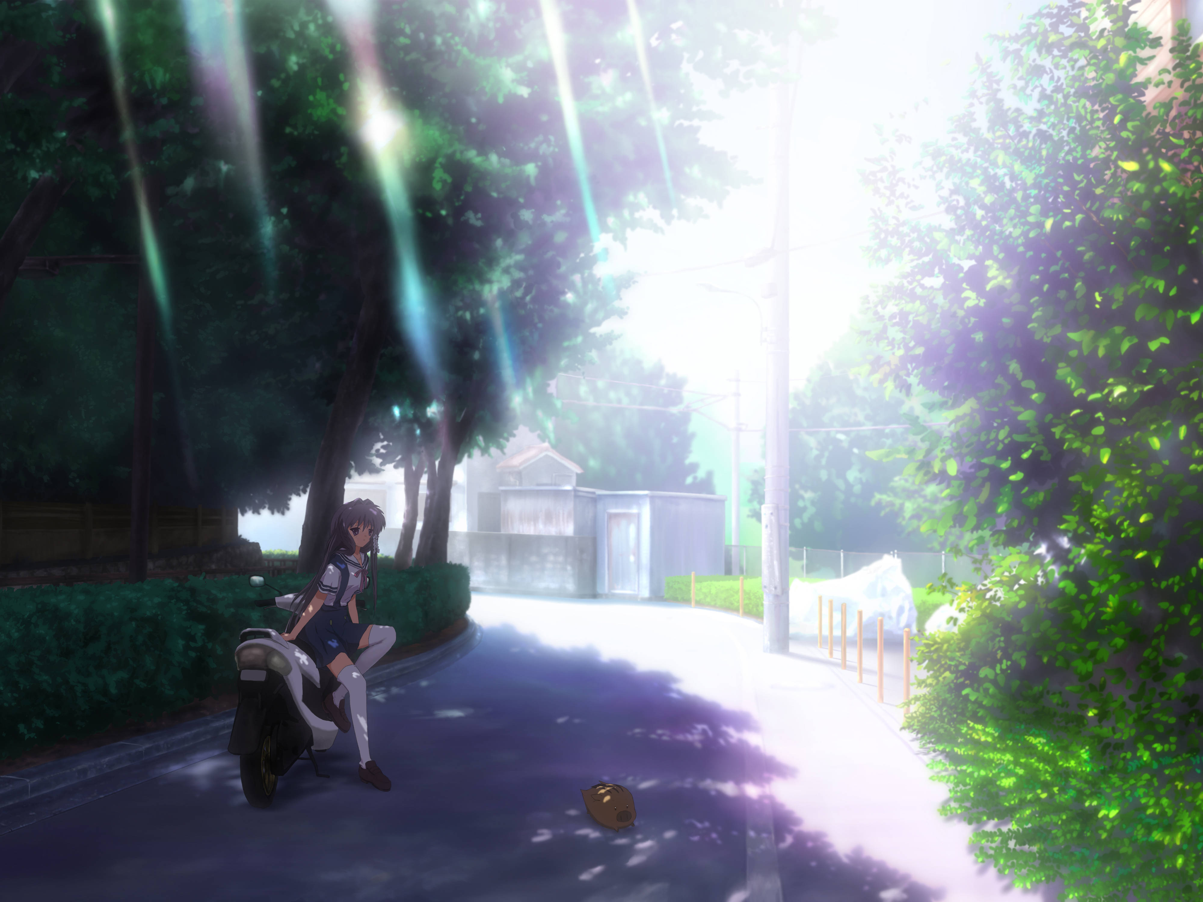 Clannad 桌布 壁紙 — 一個穿著校服的女孩坐在滑板車上，斑駁的陽光透過茂密的綠樹灑在寧靜的郊區街道上。