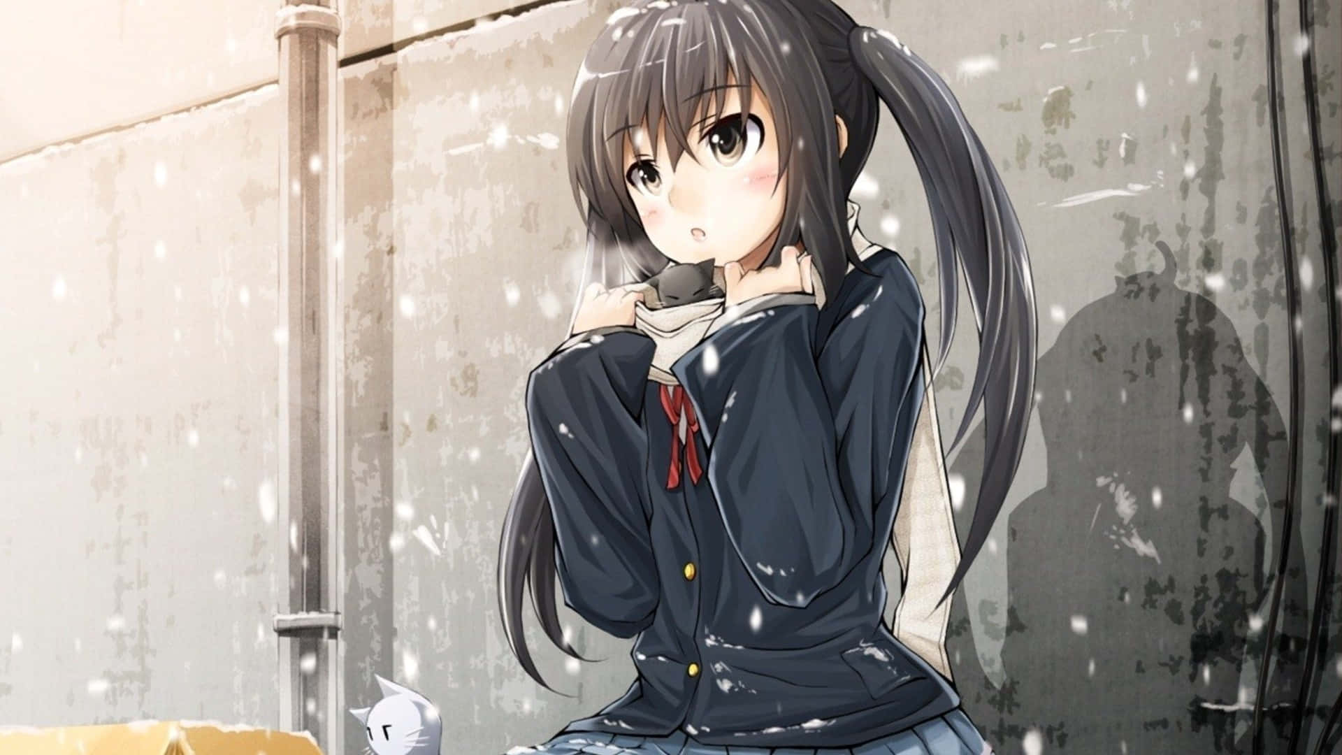 Beautiful Sad Anime 桌布 壁紙 — 一個穿著校服的年輕動漫女孩站在飄雪中，背景是風化的牆壁，旁邊有一隻小白貓。