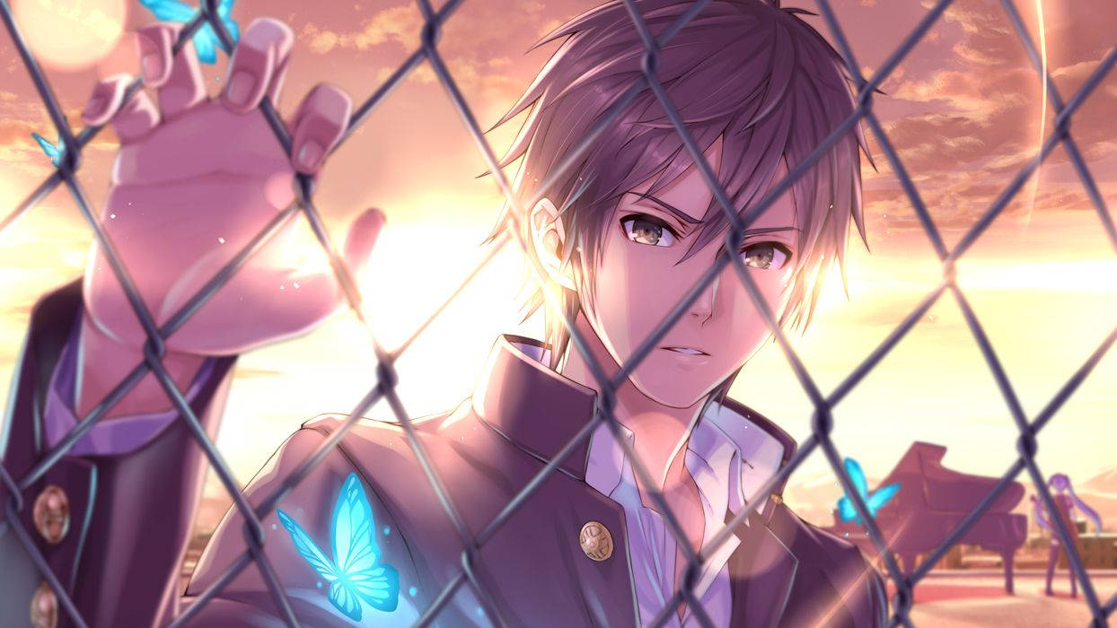 動漫男孩 桌布 壁紙 — 一個穿著校服的年輕動漫男孩在日落時伸手穿過鐵絲網圍欄，發光的藍色蝴蝶在他周圍飛舞。