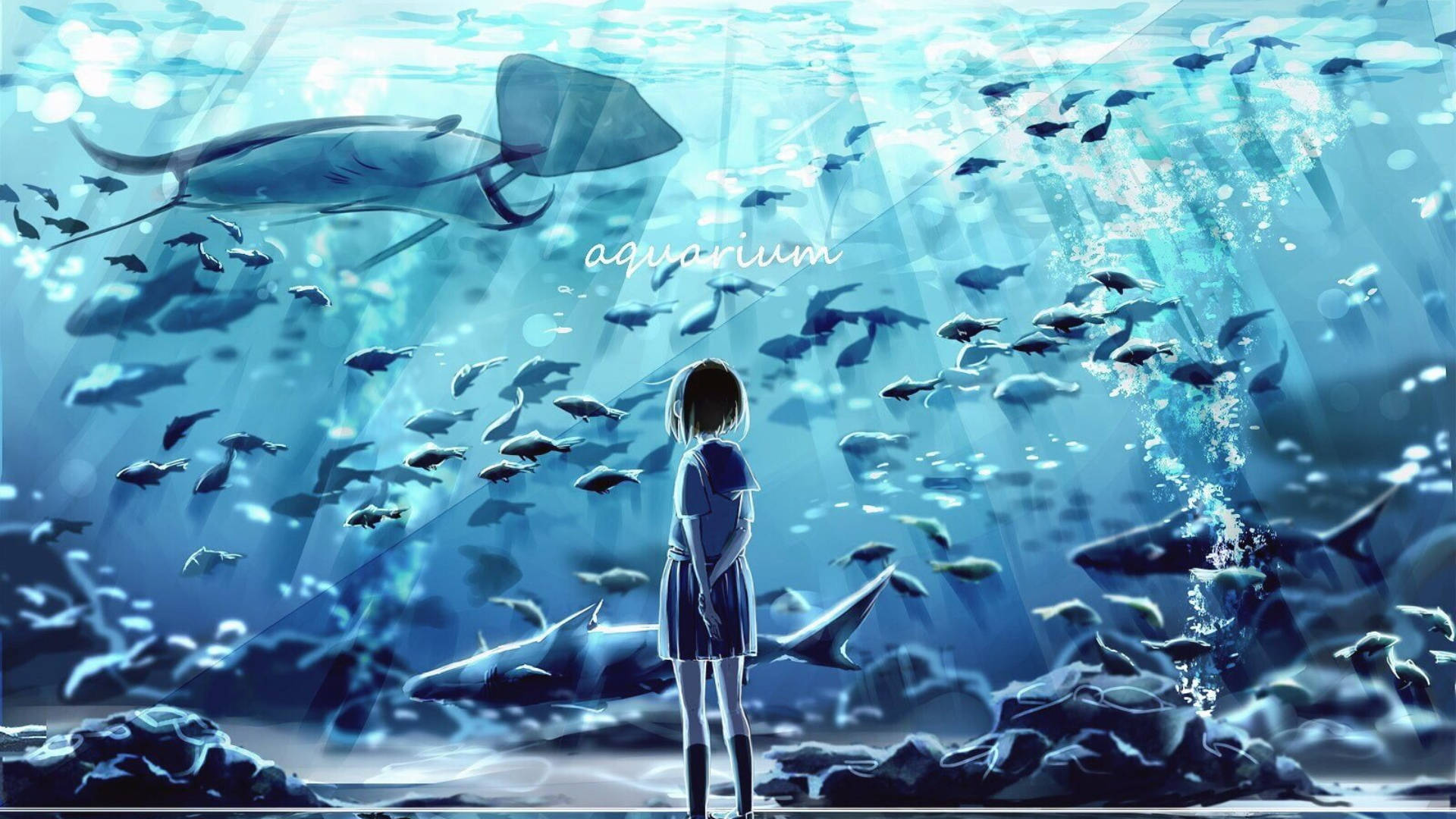 Aquarium 桌布 壁紙 — 一個穿著校服的年輕女孩站在一個巨大的水族箱前，裡面充滿了鯊魚和魚類，沐浴在藍光中。