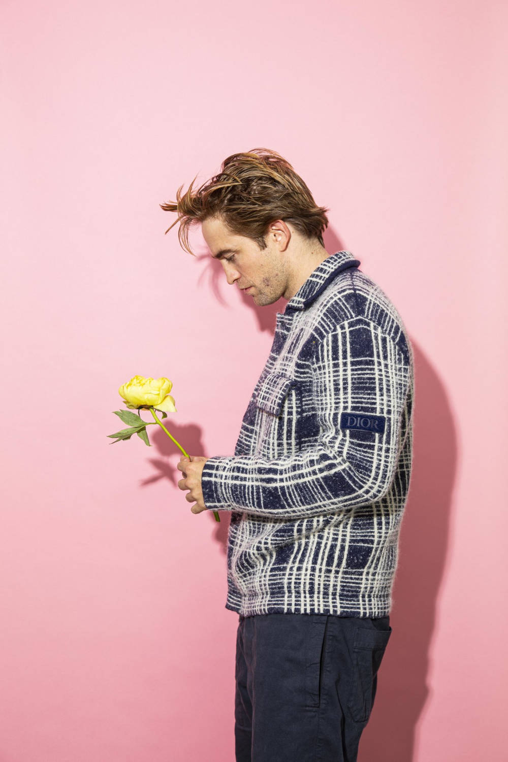 Robert Pattinson 桌布 壁紙 — 一個穿著格子外套的男人在純粉紅色攝影棚背景前拿著一朵黃玫瑰。