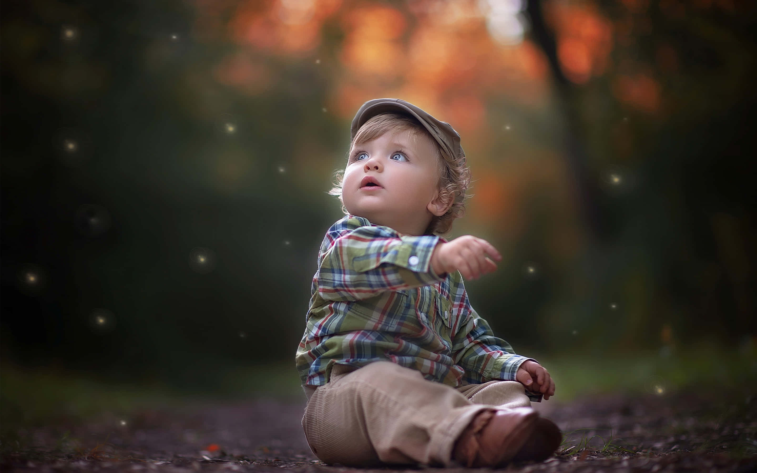 Boy 桌布 壁紙 — 一個穿著格紋襯衫和帽子的年幼孩子坐在森林小徑上，當金色光線穿過秋樹時，他充滿驚奇地向上凝望。