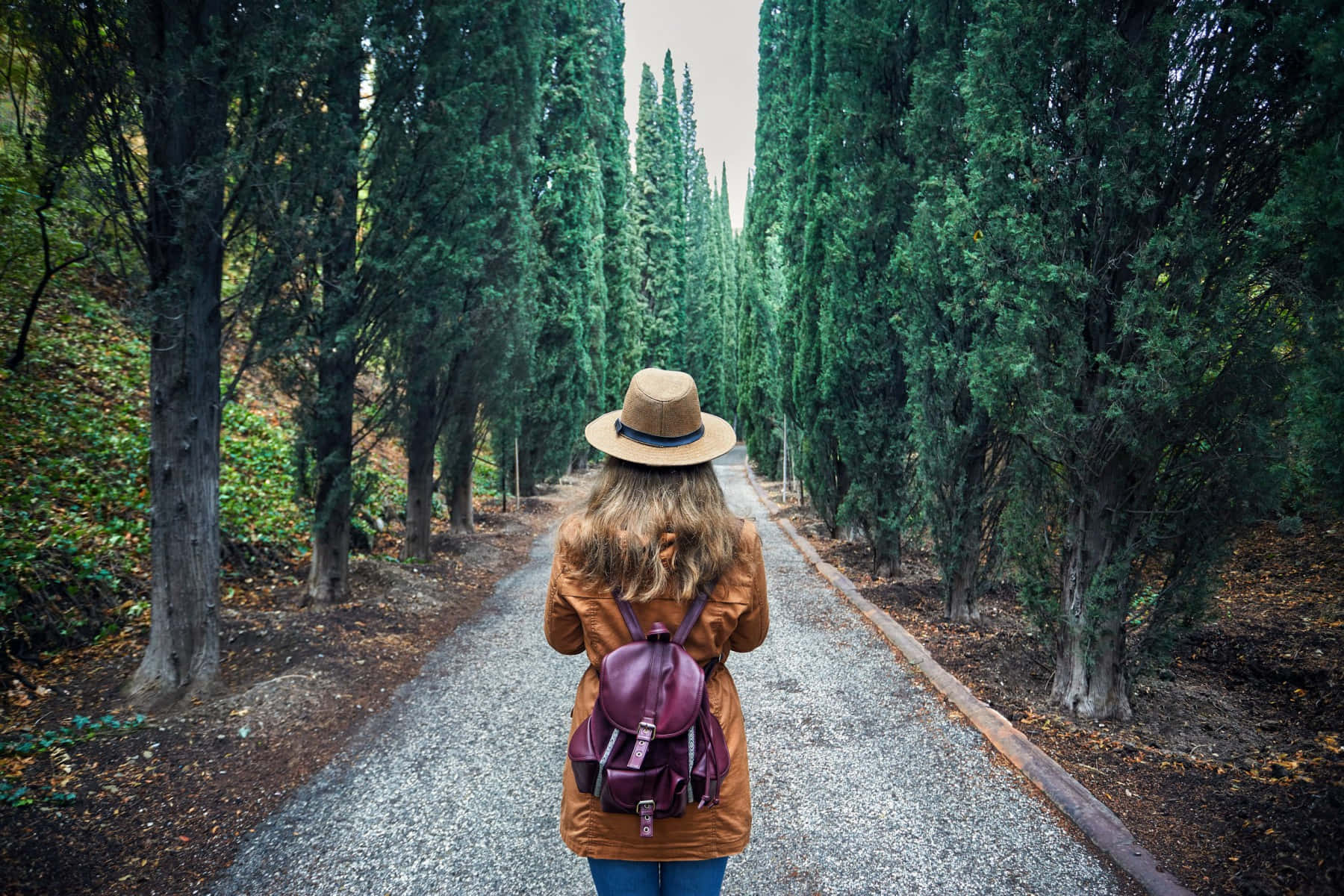 Travel Desktop 桌布 壁紙 — 一個穿著棕色外套和帽子的人，在陰天之下，沿著一條兩旁種有高大柏樹的碎石路行走。