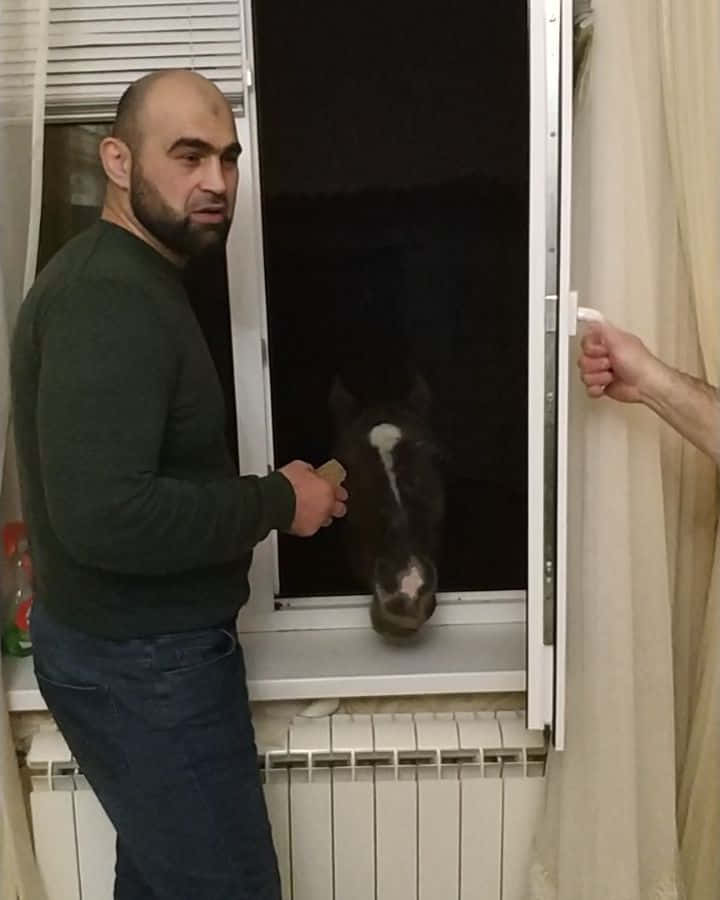 MMA 桌布 壁紙 — 一個穿著深色毛衣的男人，在夜間透過打開的窗戶，輕輕撫摸一匹好奇的、額頭有白色星紋的深色馬。