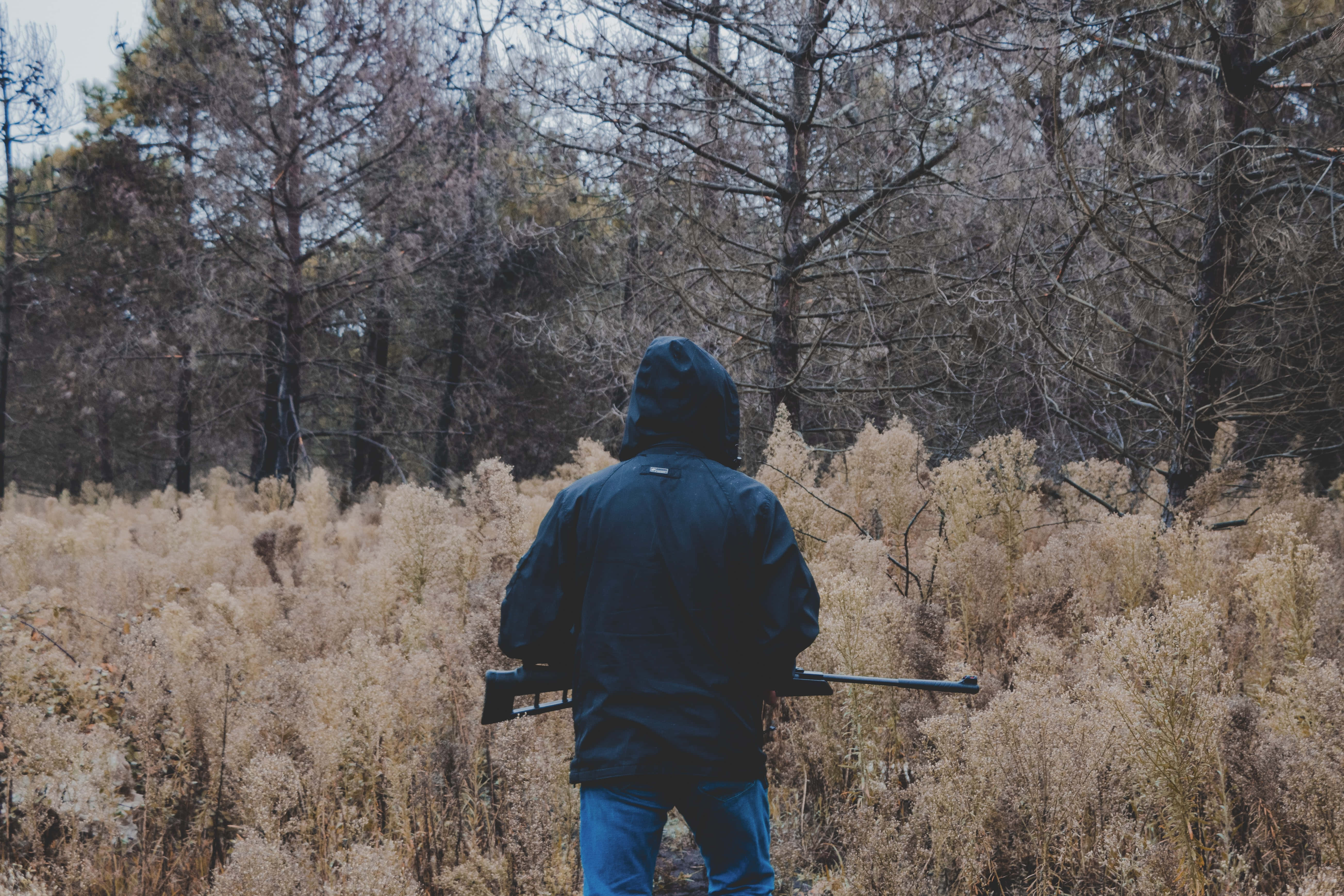Hunting Desktop 桌布 壁紙 — 一個穿著深色連帽外套的人站在一片乾燥的金色草地上，手持步槍，面向一片光禿禿的冬季森林。