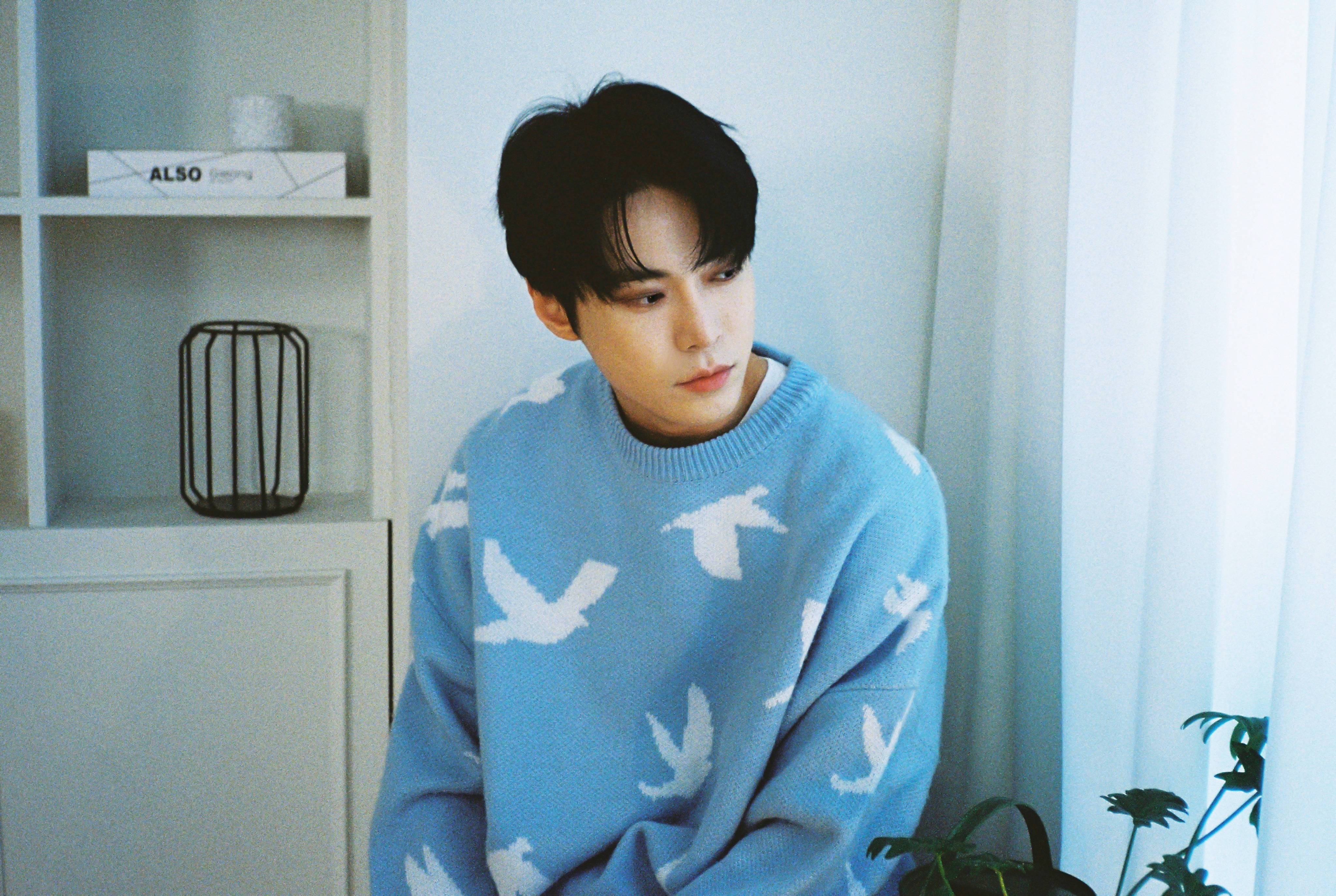 Nct 桌布 壁紙 — 一個穿著淺藍色毛衣、帶有白色鳥圖案的年輕男子，坐在有薄紗窗簾的窗邊沉思。