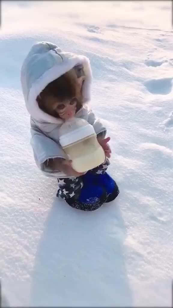 Funny Monkey 桌布 壁紙 — 一個穿著淺藍色連帽雪衣的嬰兒坐在厚厚的雪中，拿著奶瓶，穿著藍色雪靴。