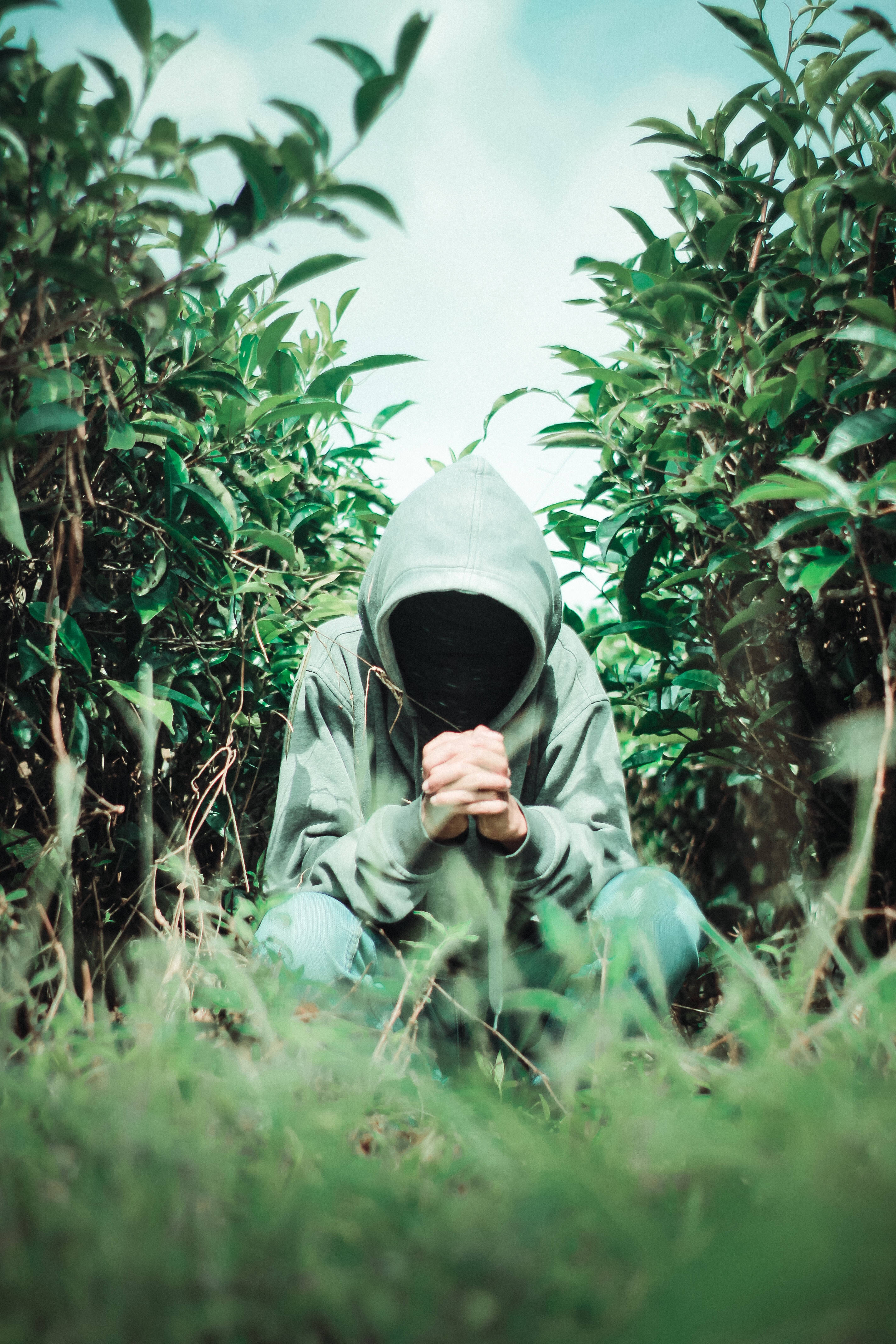 匿名 桌布 壁紙 — 一個穿著灰色連帽衫的人蜷縮在茂密的綠色灌木叢中，雙手緊握，臉部隱藏在陰影中。