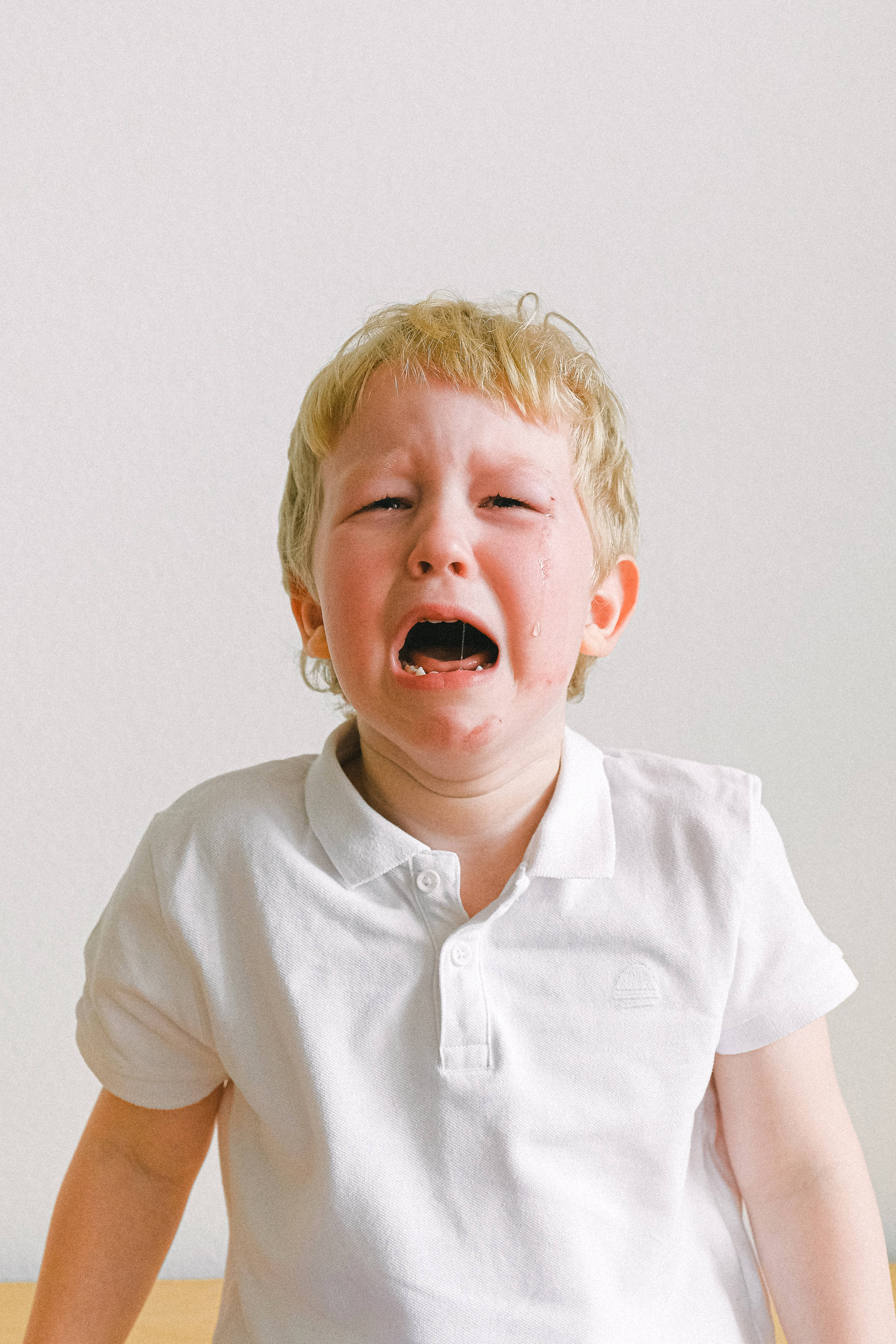 crying sad boy 桌布 壁紙 — 一個穿著白色Polo衫的年輕金髮男孩在純白色背景前緊閉雙眼大聲哭泣。