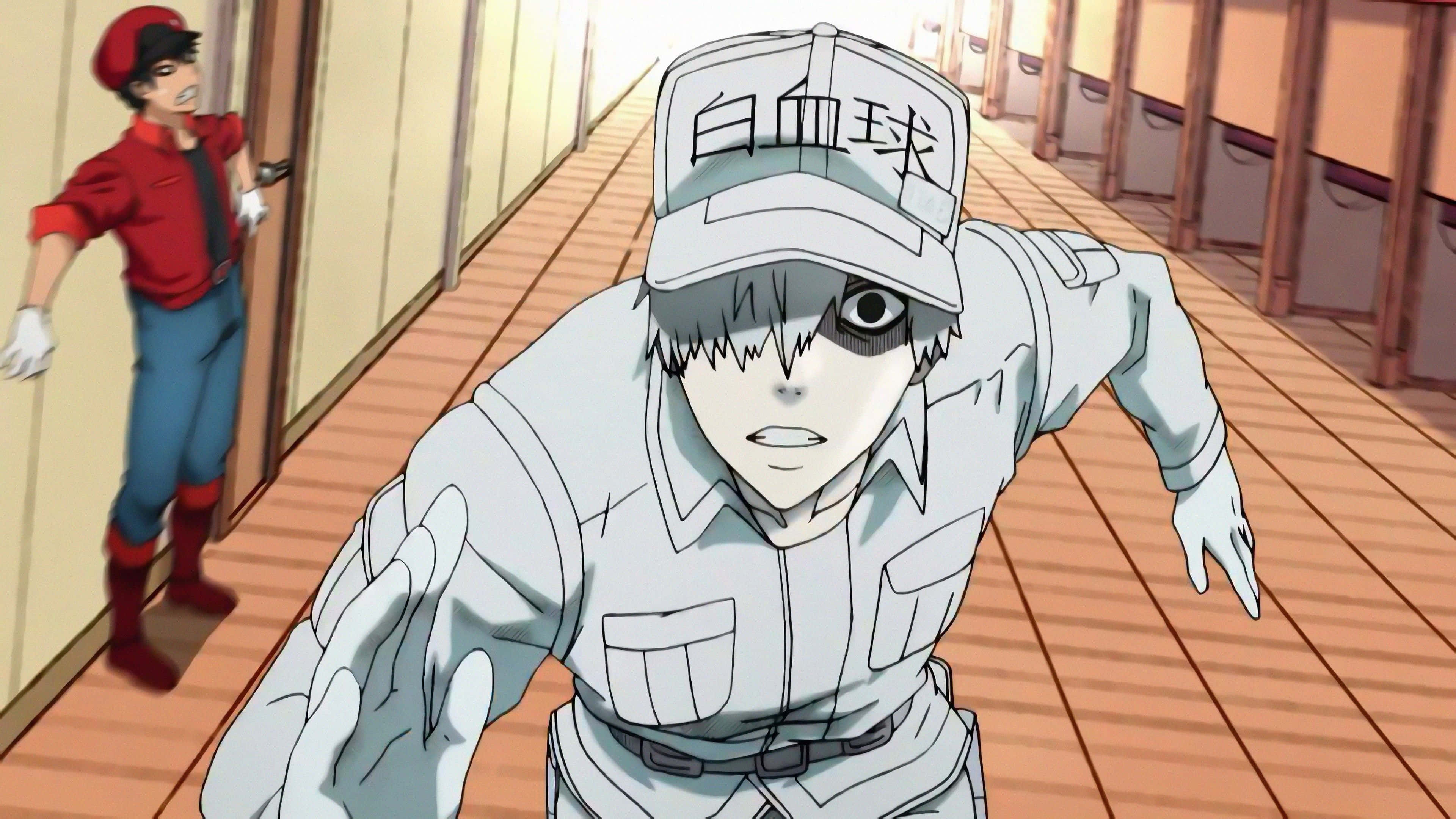 Cells At Work 桌布 壁紙 — 一個穿著白色制服、帽子上有「白血球」字樣的動漫角色沿著木製走廊向前衝刺，而另一個紅色角色則在門後觀看。