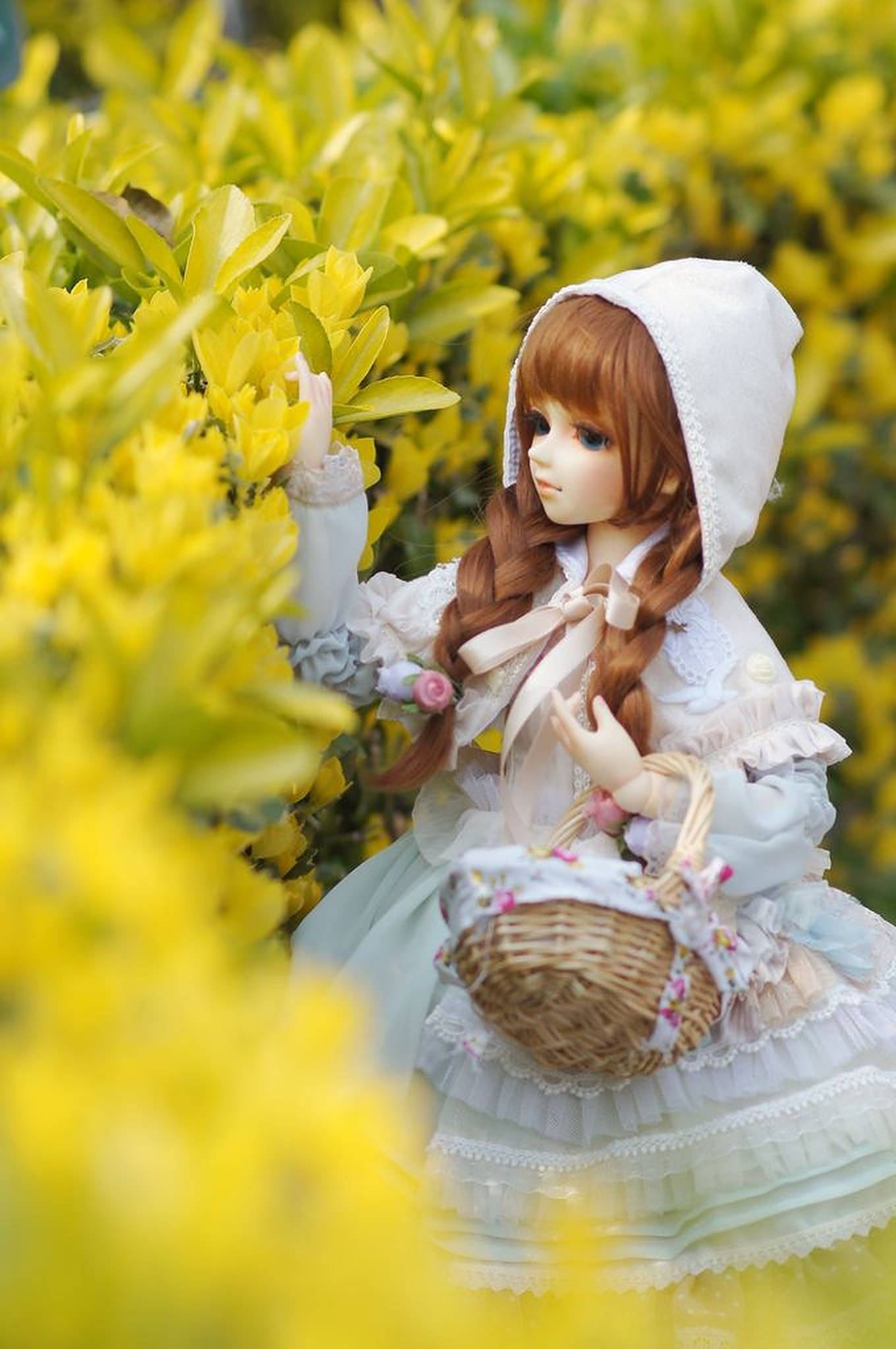 Doll 桌布 壁紙 — 一個穿著白色連帽裙的洋娃娃在柔和焦點中，於鮮豔的黃色花朵間拿著一個花籃。