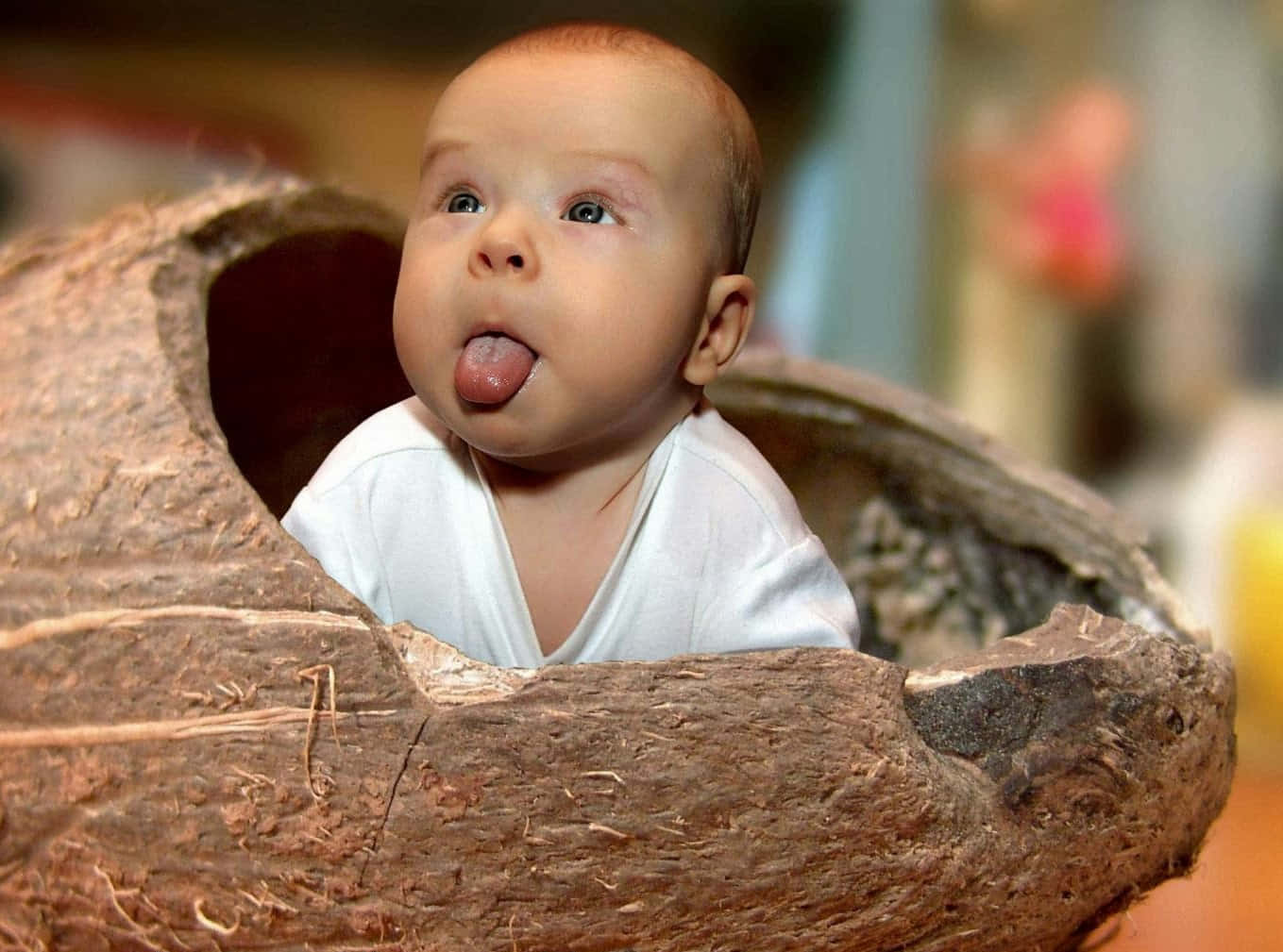 Funny Baby 桌布 壁紙 — 一個穿著白色連體衣的嬰兒從空心椰子殼內探出頭來，伸出舌頭。