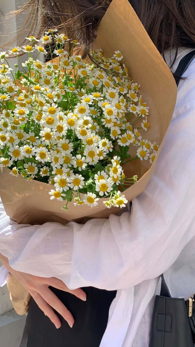 Bouquet 桌布 壁紙 — 一個穿著白襯衫的人懷抱著一大束用牛皮紙包裹的新鮮雛菊。