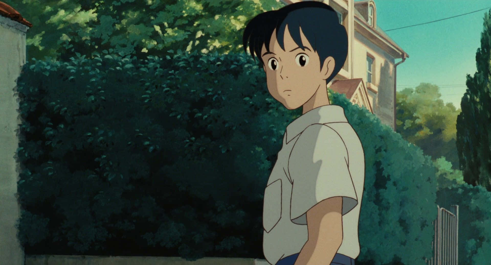 Whisper Of The Heart 桌布 壁紙 — 一個穿著白襯衫的小男孩站在茂密的綠色樹籬旁，身後可見一棟房子，天空湛藍清澈。