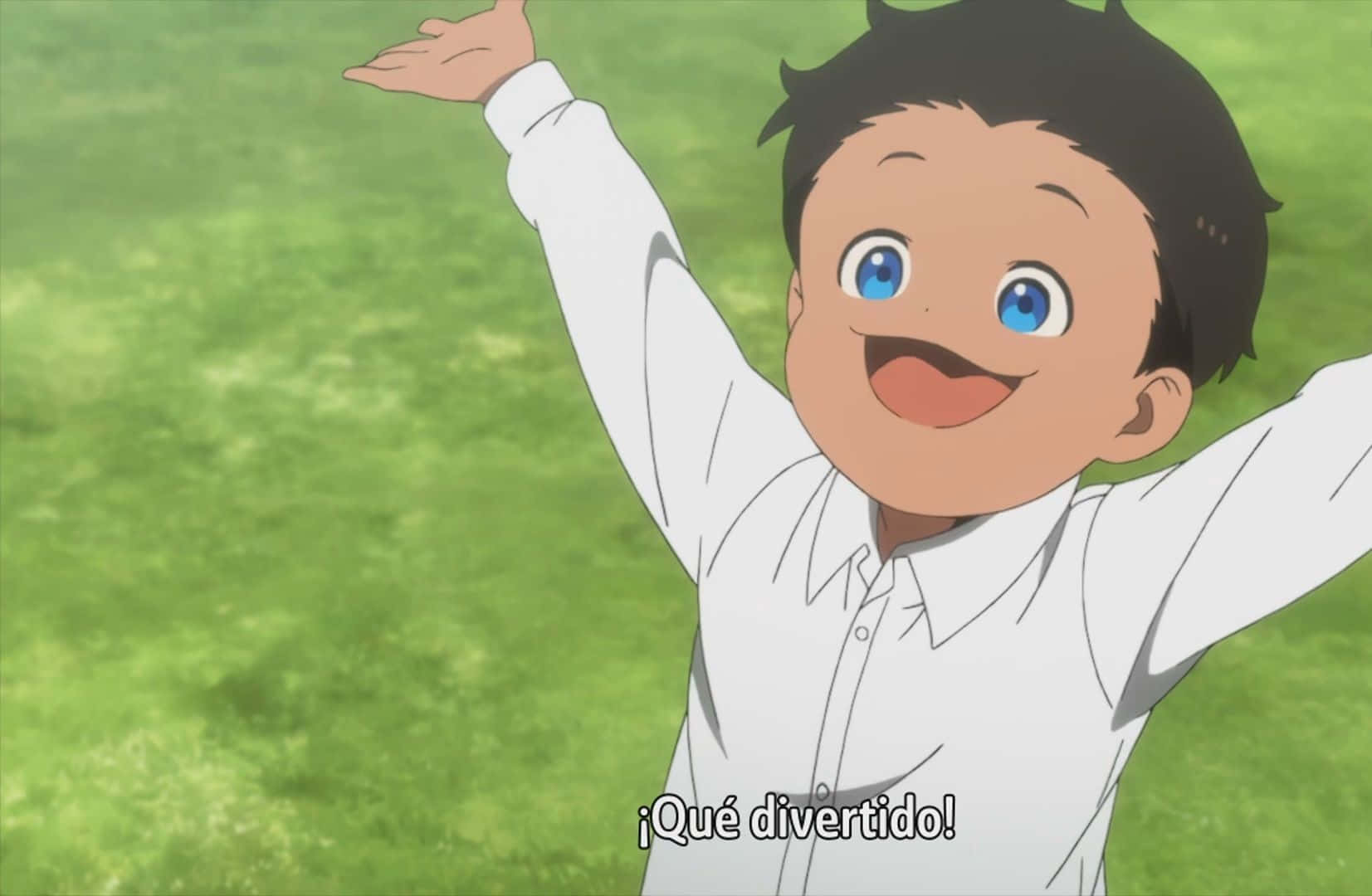 The Promised Neverland Phil 桌布 壁紙 — 一個穿著白襯衫的快樂動漫男孩在充滿活力的綠色草地上舉起手臂大笑。