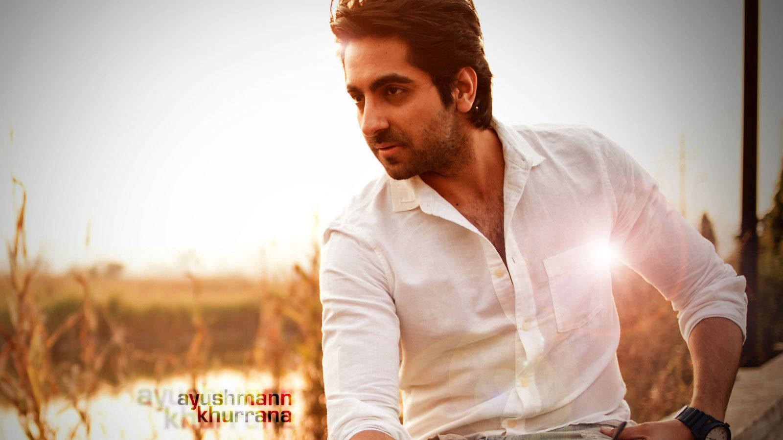 ayushmann khurrana 桌布 壁紙 — 一個穿著白襯衫的男人站在戶外，金色陽光在他身後對著模糊的自然背景閃耀。
