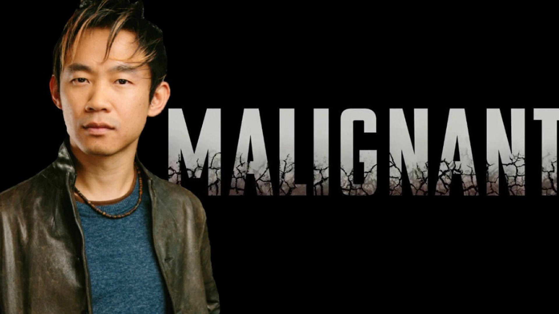 Malignant 桌布 壁紙 — 一個穿著皮夾克的男人站在黑色背景前，粗體白色字母「MALIGNANT」揭示下方龜裂的土地。