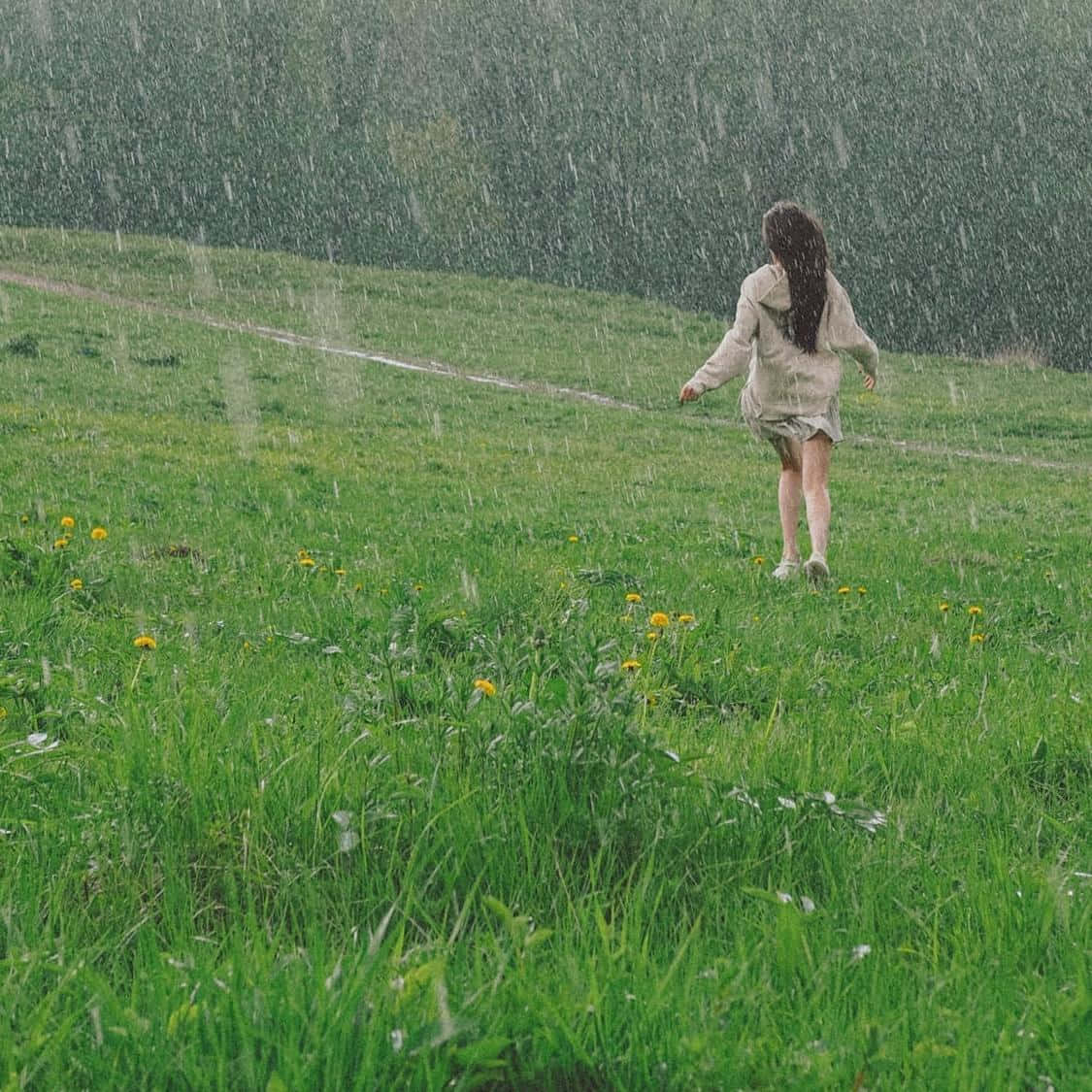 下雨 桌布 壁紙 — 一個穿著米色外套的女孩跑過一片雨淋的綠色田野，田野上點綴著黃色蒲公英。