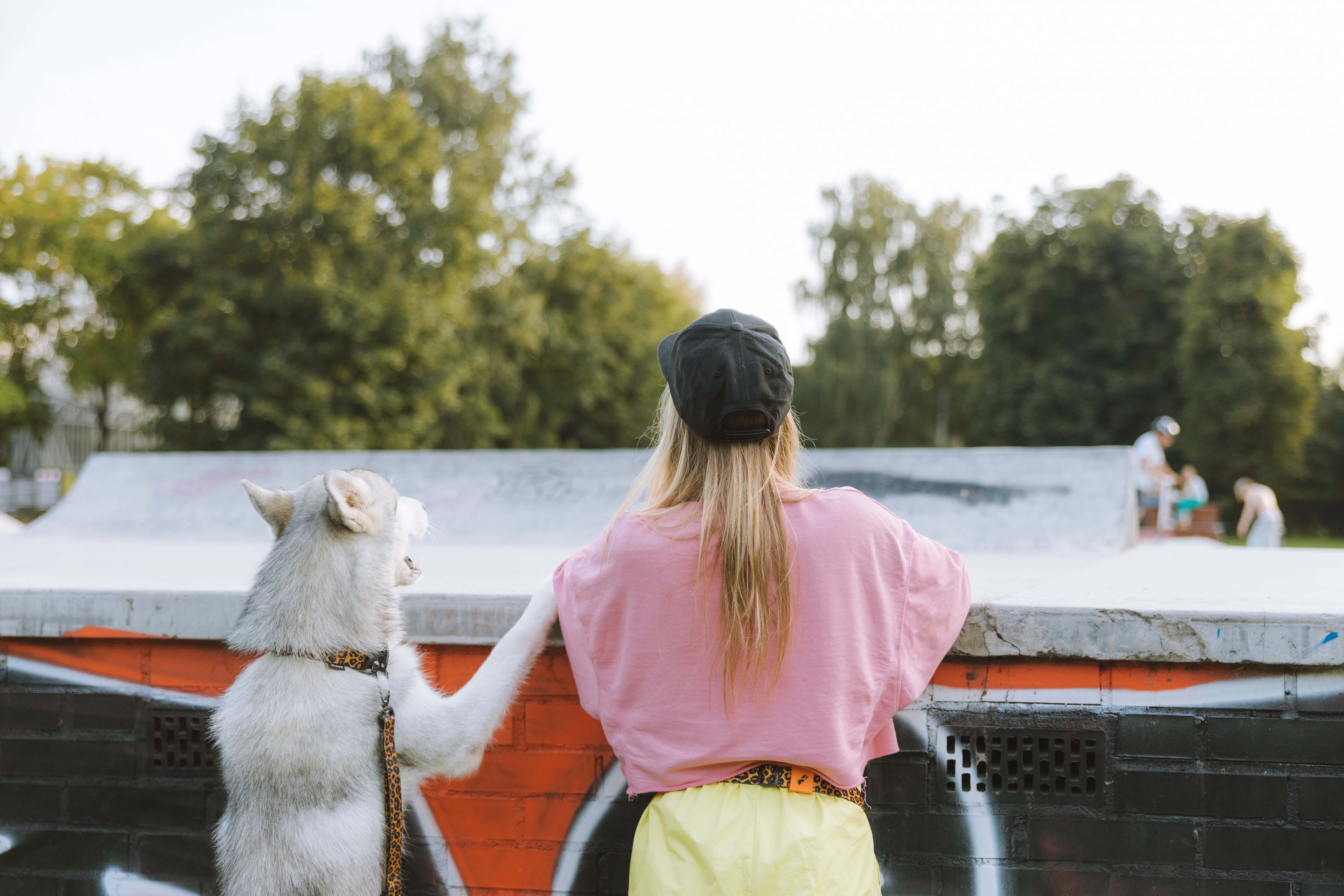 動物 桌布 壁紙 — 一個穿著粉紅色襯衫的女孩和她的白色哈士奇靠在一個佈滿塗鴉的滑板坡道上，俯瞰著一個有樹木和遠處滑板手的公園。