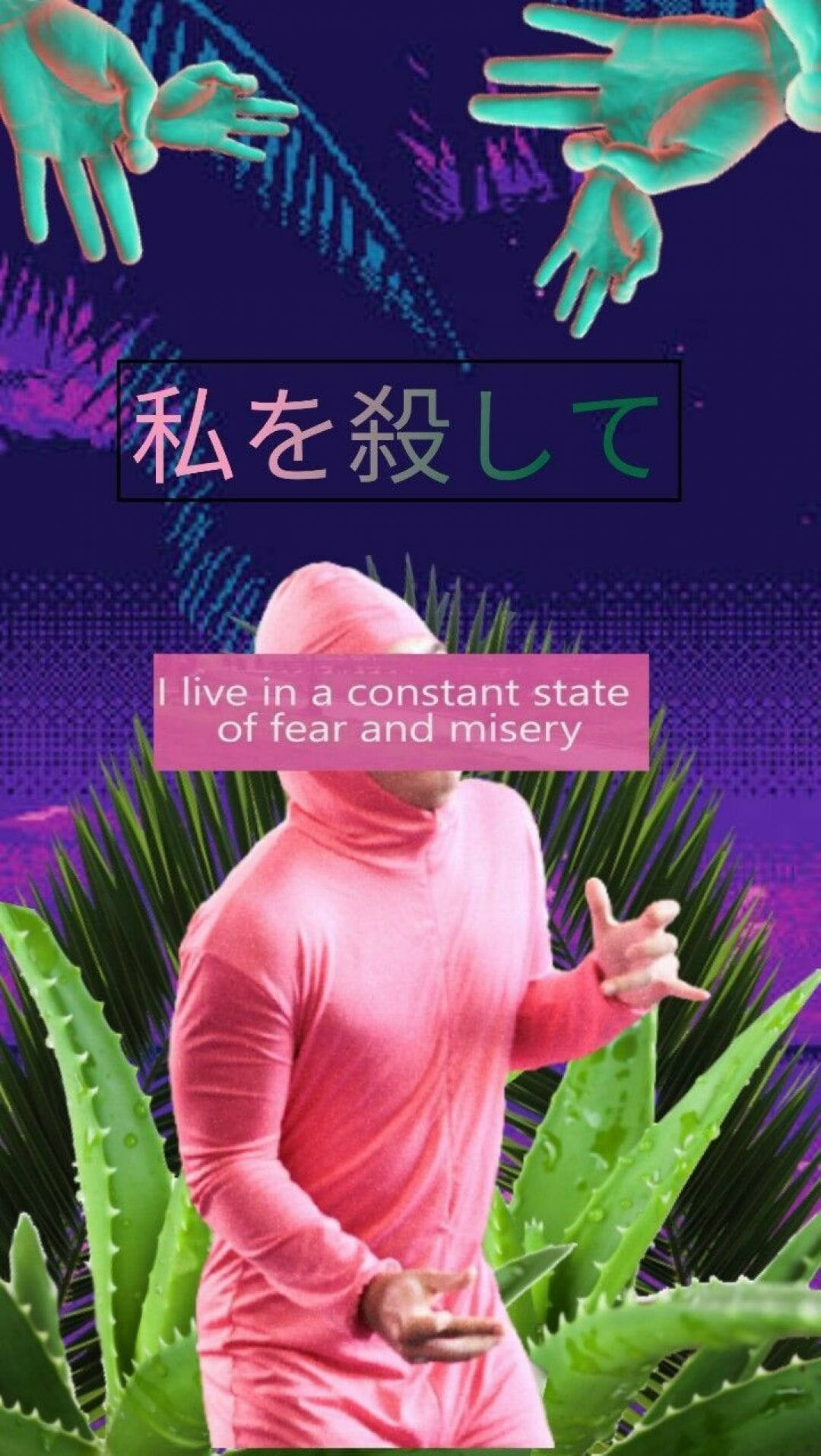 meme 桌布 壁紙 — 一個穿著粉紅色連帽套裝的人站在綠色蘆薈植物中，在深紫色天空下，有發光的藍綠色手向下伸來。
