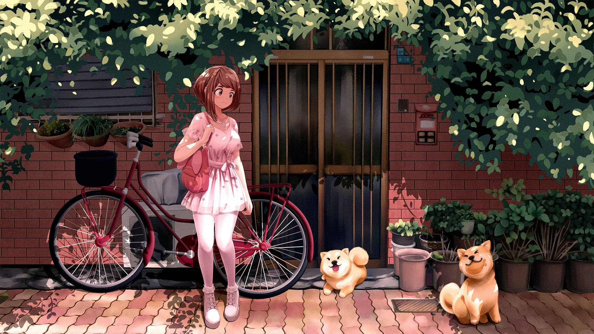 Uraraka 桌布 壁紙 — 一個穿著粉紅色連衣裙的開朗動漫女孩站在一輛紅色自行車旁邊，兩隻毛茸茸的柴犬在陽光普照的磚砌庭院裡，周圍環繞著綠色植物。