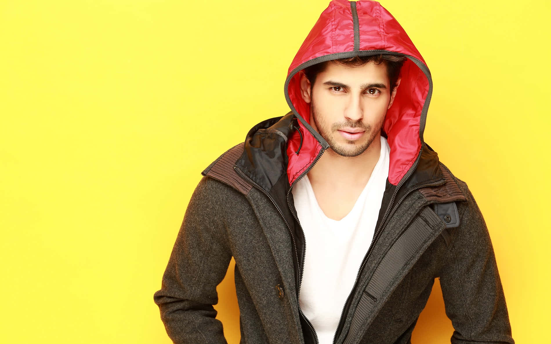 Bollywood Hero 桌布 壁紙 — 一個穿著紅色連帽外套的男人自信地站在鮮黃色背景前。