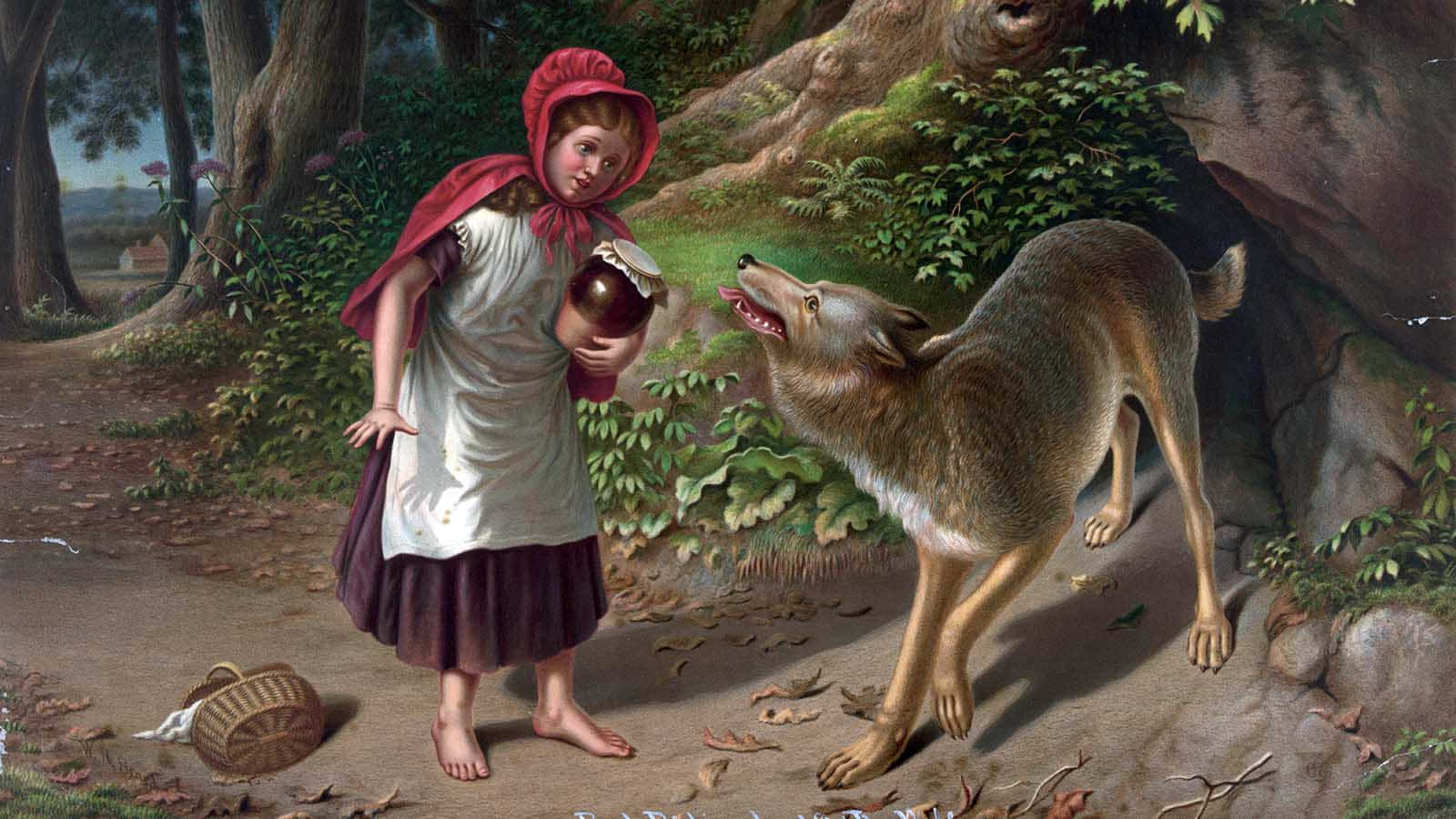 Fairy Tale 桌布 壁紙 — 一個穿著紅色連帽斗篷的年輕女孩赤腳站在森林裡，手裡拿著一個罐子，一隻狼正向她撲來。